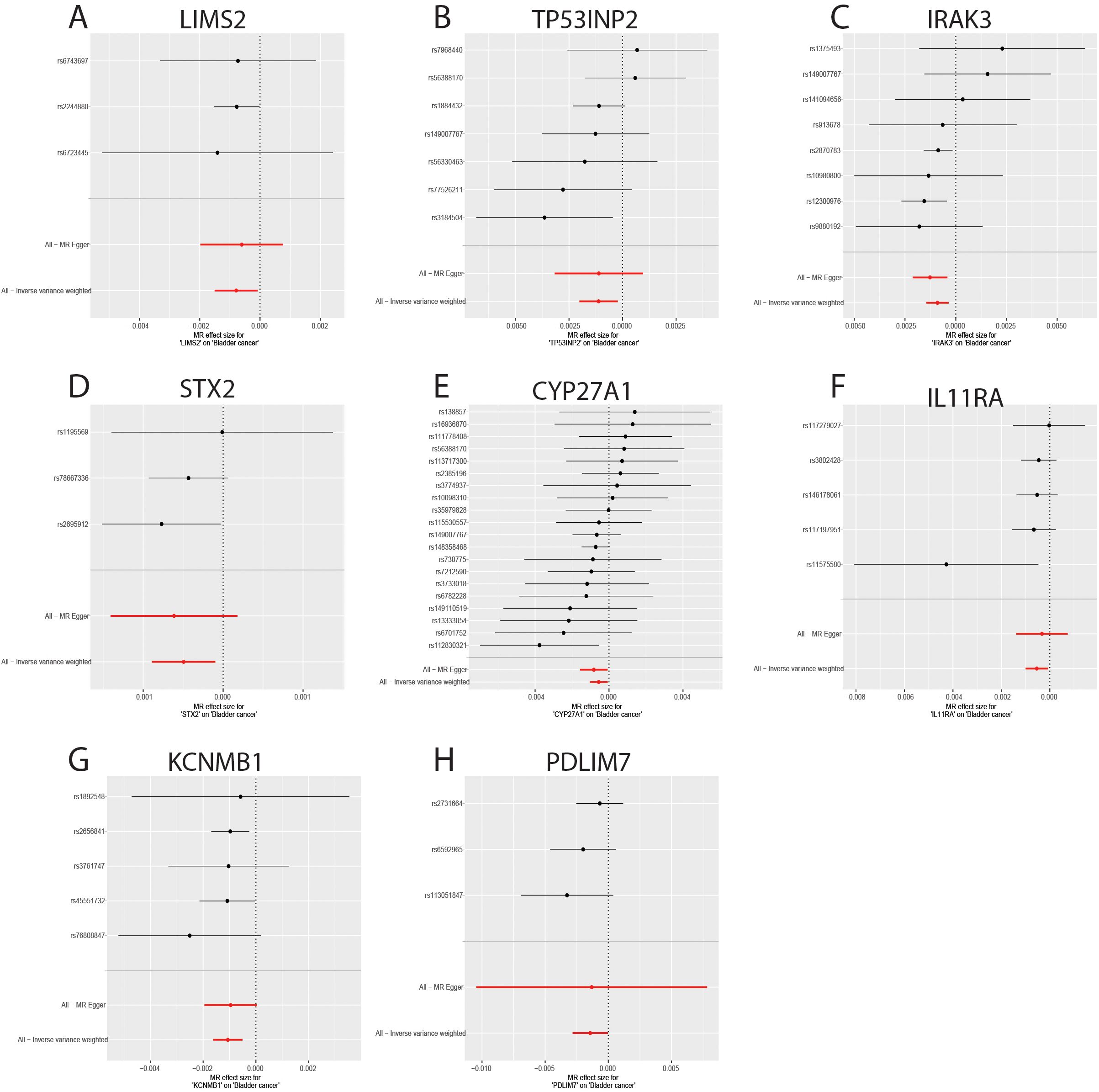 Eight forest plots labeled A to H show genetic data related to bladder cancer for the genes LIMS2, TP53INP2, IRAK3, STX2, CYP27A1, IL11RA, KCNMB1, and PDLIM7. Each plot displays multiple genetic variants with confidence intervals and pooled estimates in red for MR Egger and inverse variance weighted methods.