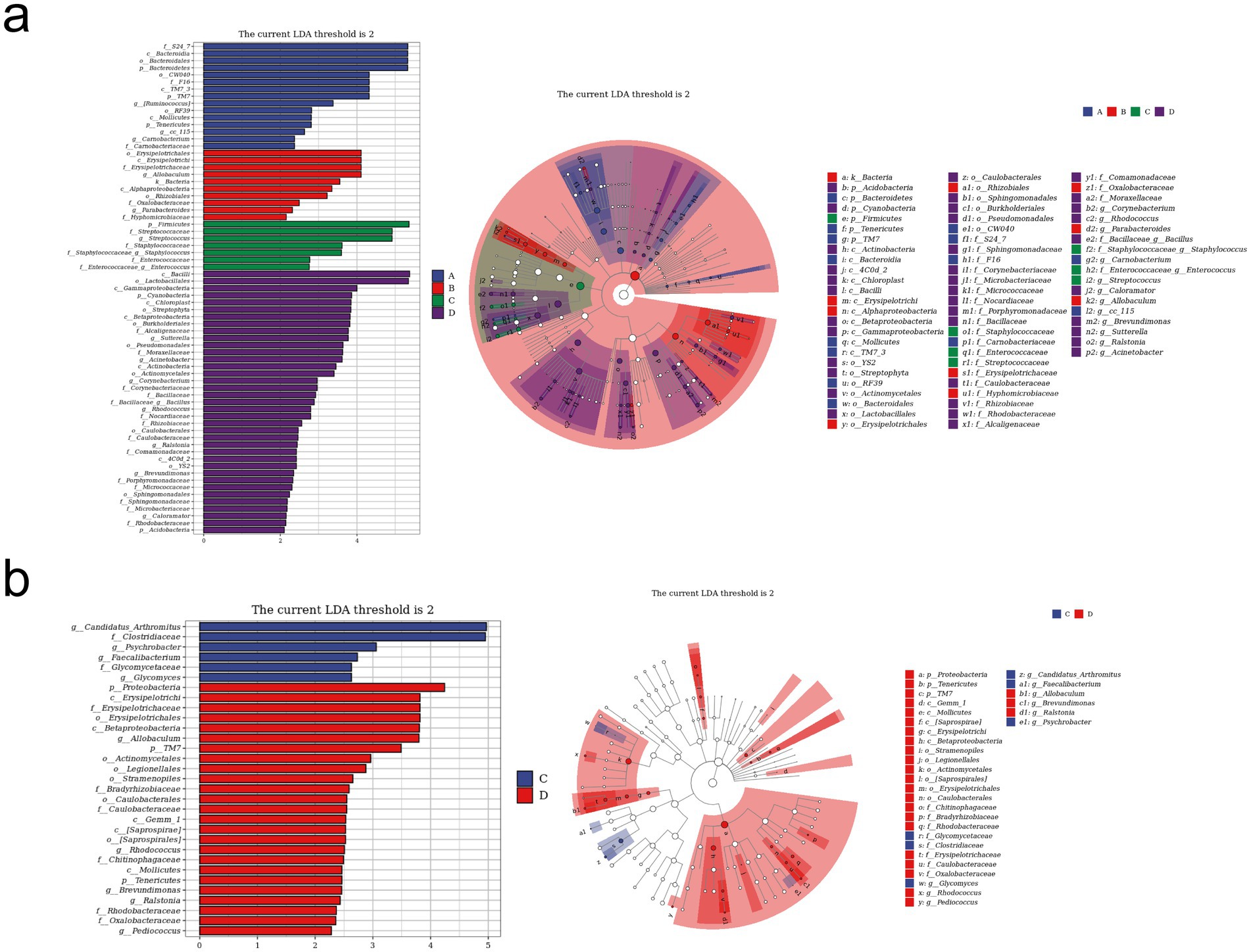 Two-panel image showing microbiome data with LDA threshold of 2. Panel (a) includes a bar chart and a circular phylogenetic tree comparing groups A, B, C, and D. Panel (b) contains a similar bar chart and tree comparing groups C and D, highlighting bacterial taxa enrichments.