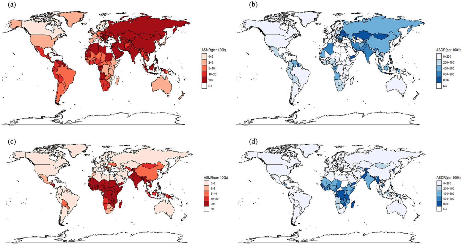 Four world maps display age-standardized mortality rates (ASMR) and age-standardized disability rates (ASDR) per 100,000 people. Maps (a) and (c) use red gradients for ASMR, indicating higher rates in Asia, Africa, and parts of South America. Maps (b) and (d) use blue gradients for ASDR, showing higher rates in Africa and parts of Asia. Legend scales range for ASMR from 0-20+ and for ASDR from 0-800+.
