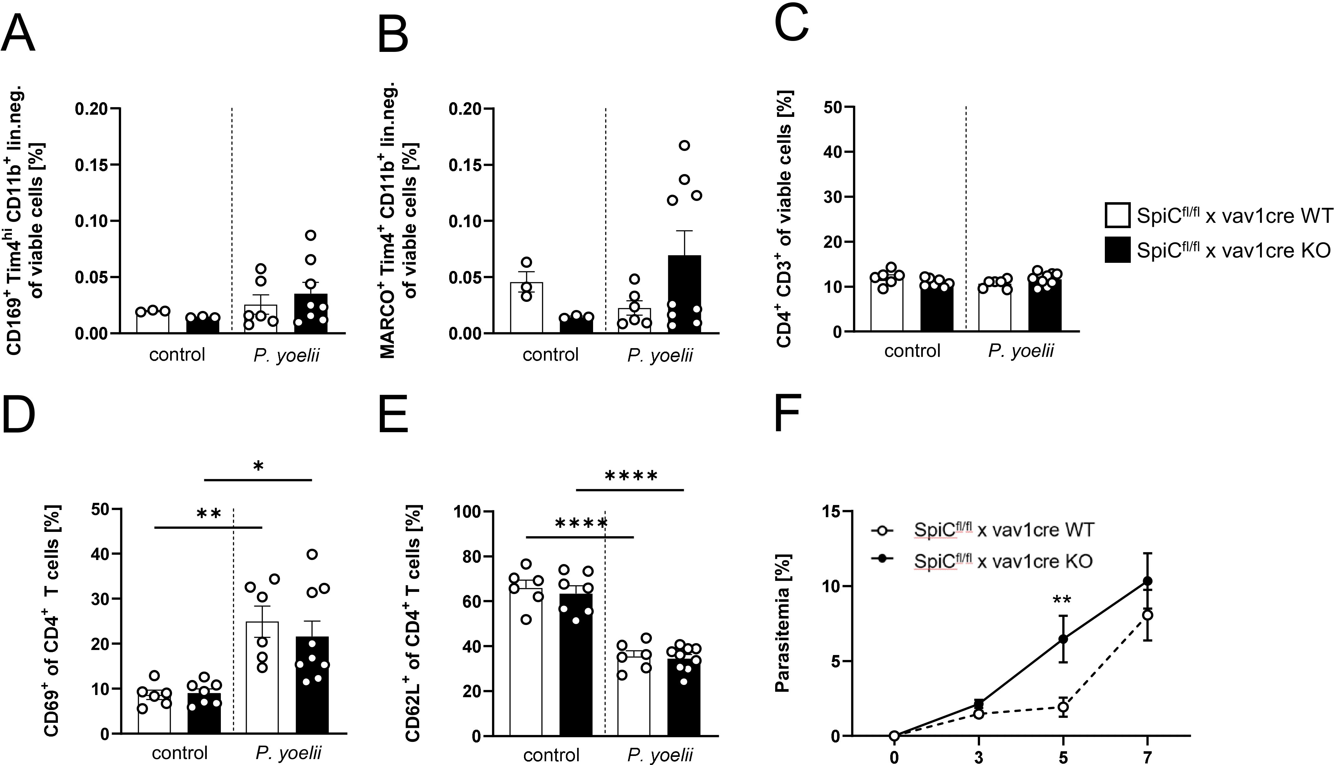 Bar and line graphs labeled A to F show immune cell percentage data comparing control and P. yoelii groups. Graphs depict differences in cell types like MMMФ, MZMФ, and CD4⁺ T cells with statistical significance indicated. Graph F shows parasitemia percentage over days, comparing two genetic groups: SpiC^fl/fl x vav1cre WT and SpiC^fl/fl x vav1cre KO.