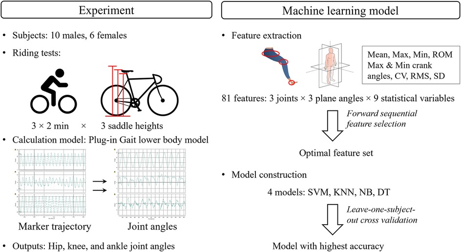 Experiment and machine learning model process diagram. Left shows details of an experiment with 10 male and 6 female subjects performing riding tests at three saddle heights, using the Plug-in Gait lower body model to calculate hip, knee, and ankle joint angles. Right features machine learning model construction, extracting 81 features from three joints and three plane angles, using nine statistical variables. It describes feature selection and model construction using SVM, KNN, NB, and DT, with leave-one-subject-out cross-validation for optimal accuracy.