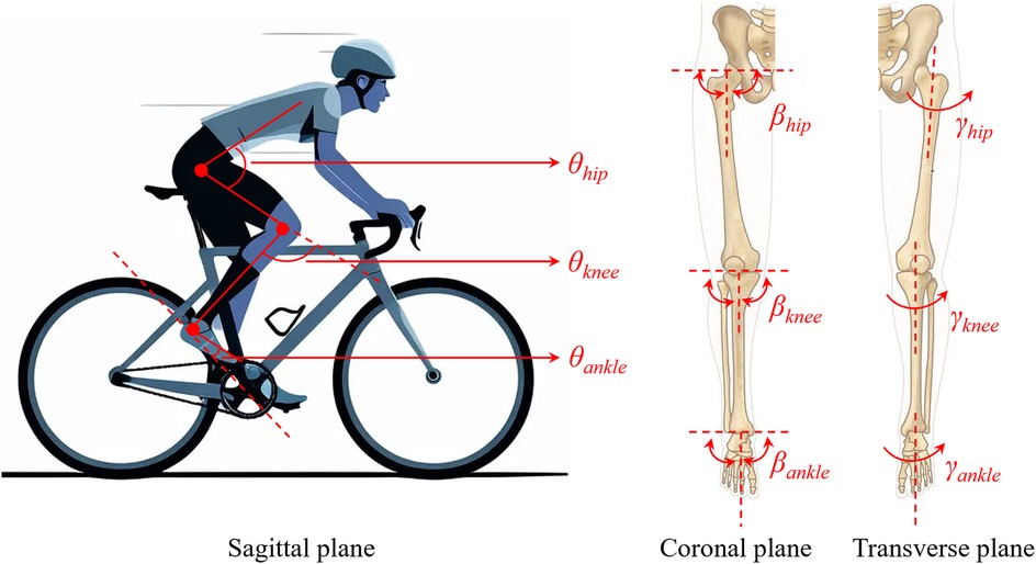 Illustration depicting a cyclist in motion on the left, with labeled joint angles: theta hip, theta knee, and theta ankle in the sagittal plane. On the right, two skeletal diagrams show hip, knee, and ankle angles labeled as beta and gamma in coronal and transverse planes.