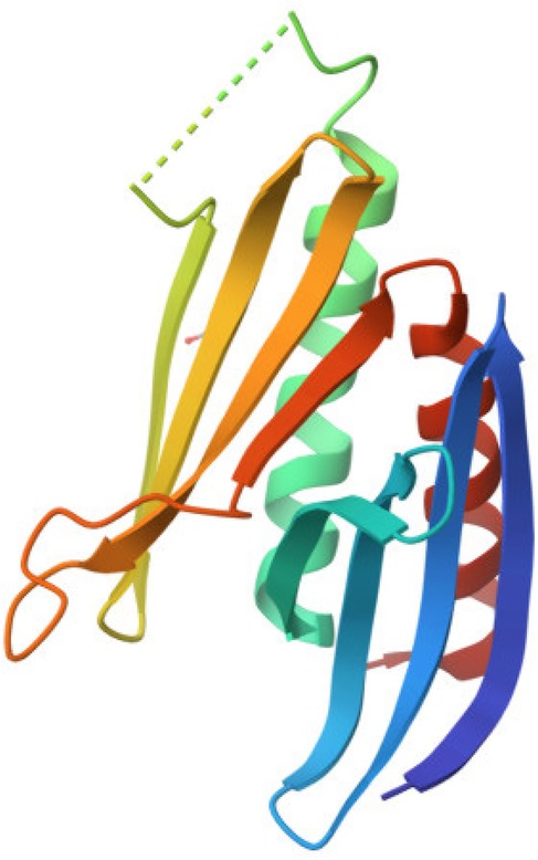 Ribbon diagram of a protein structure, displaying a mix of helices, sheets, and loops colored in a gradient of green, yellow, orange, red, and blue. The green dotted line indicates a partially unstructured segment.