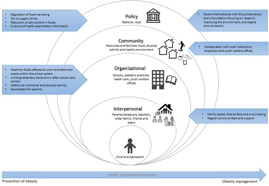 A socio-ecological model outlines obesity prevention and management strategies at multiple levels: policy, community, organizational, interpersonal, and individual (child/adolescent). Policy includes food marketing regulation and sugary drink taxes. Community involves resource improvement and collaboration. Organizational efforts focus on healthier school meals and physical activity. Interpersonal strategies involve family-based counseling. A continuum transitions from prevention to obesity management.