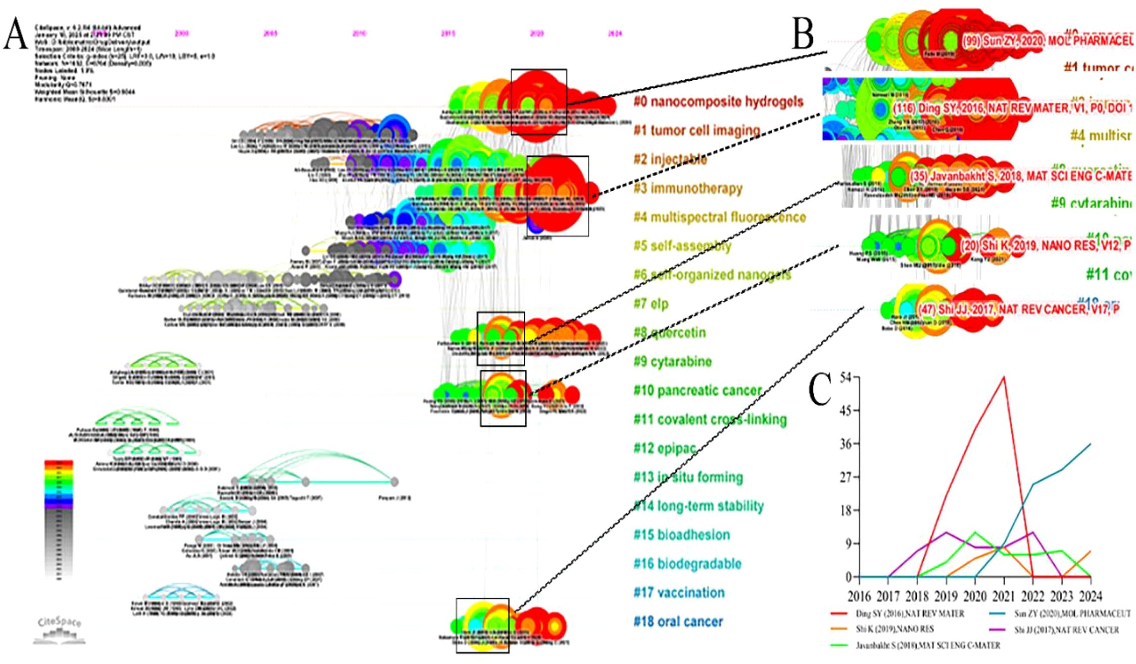 Visualization of research trends and topics over time related to nanocomposite hydrogels. Panel A shows a timeline of topic development from 2000 to 2024, highlighting connections between topics like tumor imaging, immunotherapy, and cancer. Panel B zooms into recent years, showing specific influential studies. Panel C presents a line graph depicting the citation trends of key studies from 2016 to 2024. A color scale indicates citation strength.