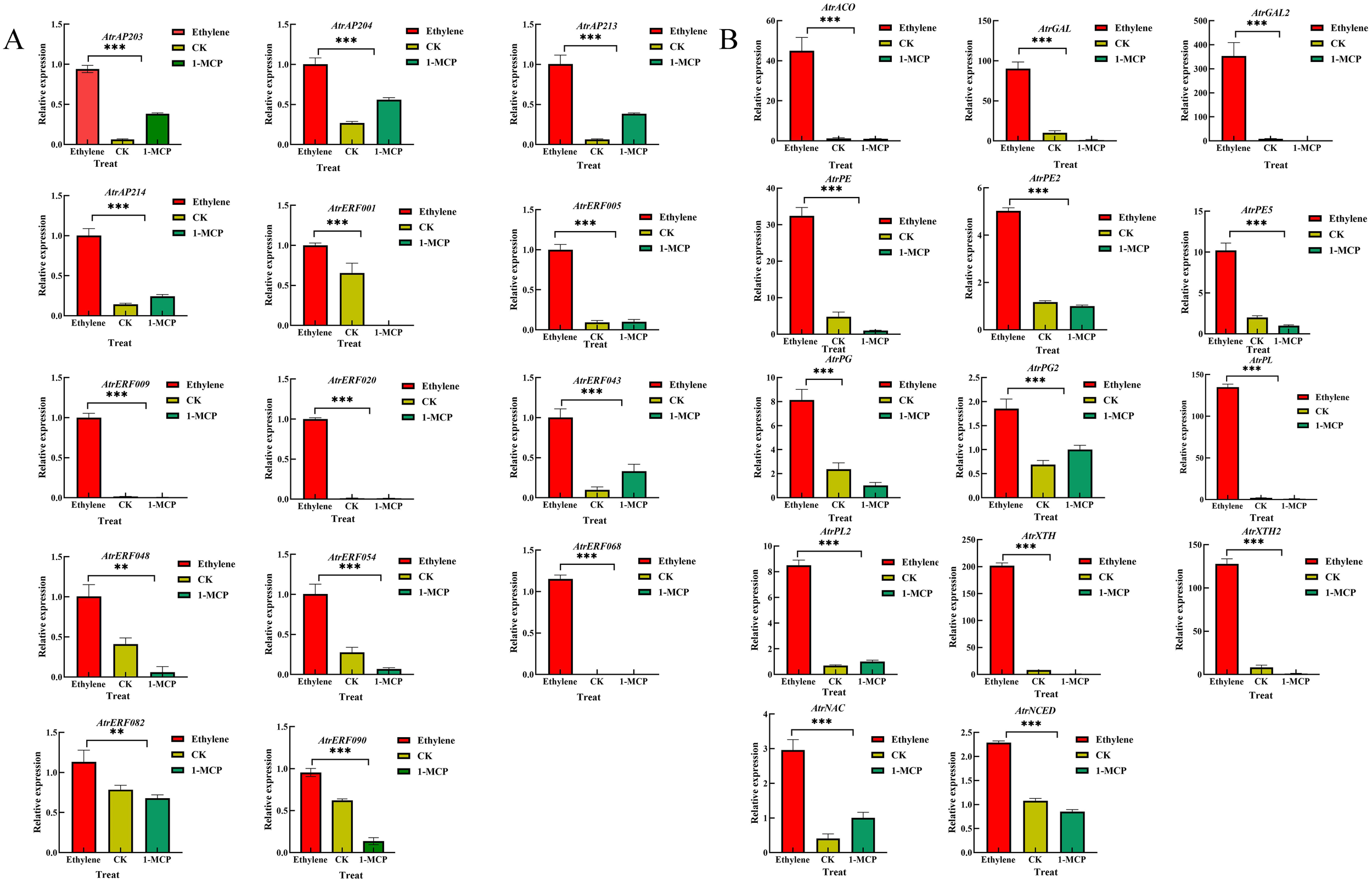 Bar charts displaying the relative expression of various genes under different treatments: Ethylene, CK, and 1-MCP. Each chart shows the impact on gene expression, with Ethylene generally resulting in the highest expression levels compared to CK and 1-MCP. Significant differences are marked with asterisks, highlighting variances in gene response to treatments.