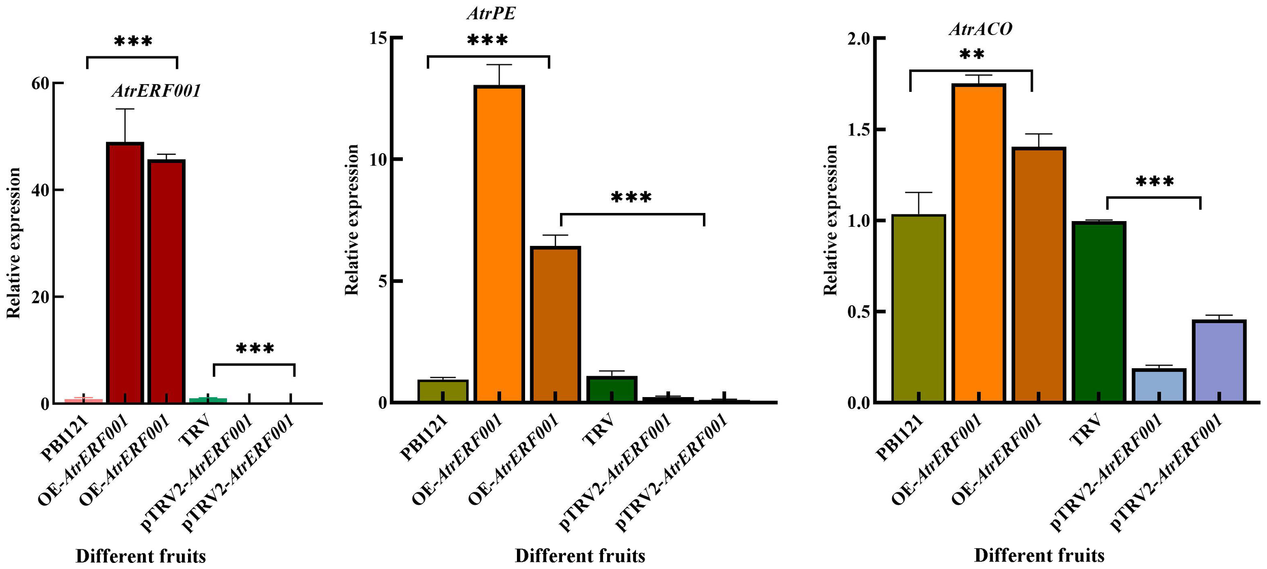 Bar charts depicting relative expression of AtrERF001, AtrPE, and AtrACO across different samples. Each sample shows significant expression differences, with asterisks indicating statistical significance levels. Bars vary in color for each gene expression category.