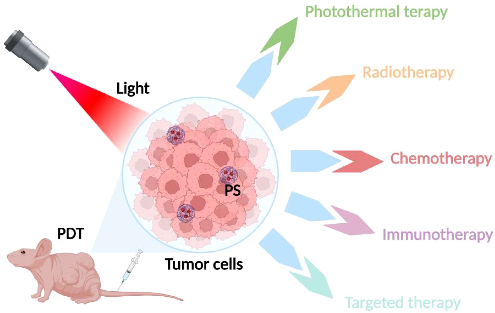 Diagram illustrating photodynamic therapy (PDT) with a mouse and syringe at the bottom left. Light targets tumor cells labeled “PS,” triggering various therapies: photothermal, radiotherapy, chemotherapy, immunotherapy, and targeted therapy, represented by arrows.
