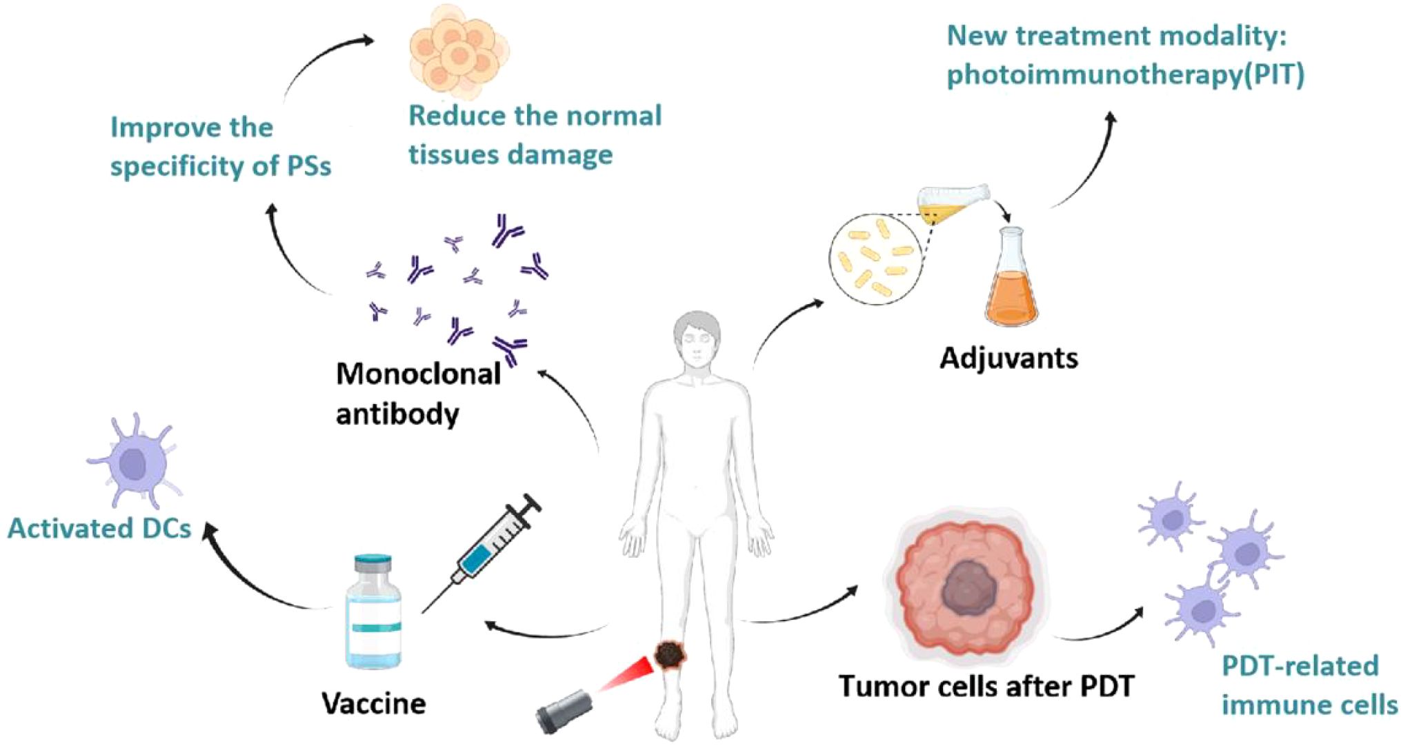 Illustration showing the process of photoimmunotherapy (PIT) for cancer treatment. It highlights improving the specificity of photosensitizers (PSs), reducing normal tissue damage, and using monoclonal antibodies, adjuvants, and vaccines. The central human figure is surrounded by symbols for activated dendritic cells (DCs) and tumor cells after photodynamic therapy (PDT), emphasizing the role of PDT-related immune cells.