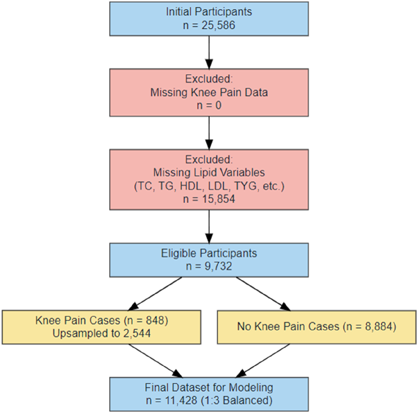 Flowchart showing participant selection for a study. Initial participants number 25,586. All had knee pain data, so zero were excluded. 15,854 were excluded due to missing lipid variables, leaving 9,732 eligible participants. Of these, 848 with knee pain were upsampled to 2,544, while 8,884 had no knee pain. The final dataset for modeling comprises 11,428 participants, balanced in a 1:3 ratio.