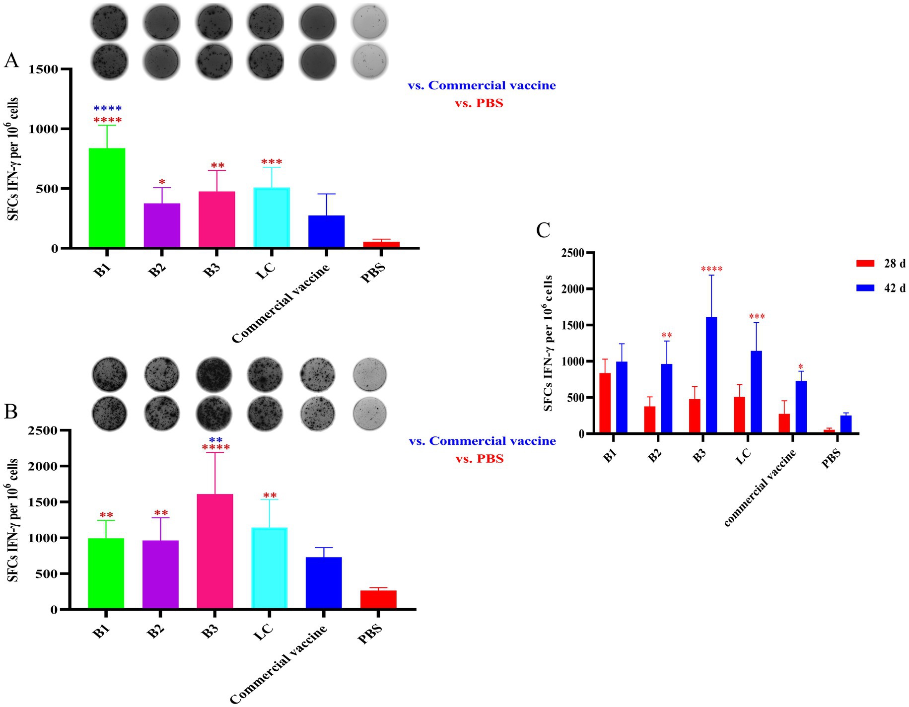 Bar charts and corresponding images depict spot-forming cells (SFCs) for interferon-gamma per 106 cells across different groups: B1, B2, B3, LC, Commercial Vaccine, and PBS. Panel A shows one dataset, Panel B another, and Panel C compares results between day 28 and 42, with significant differences highlighted.