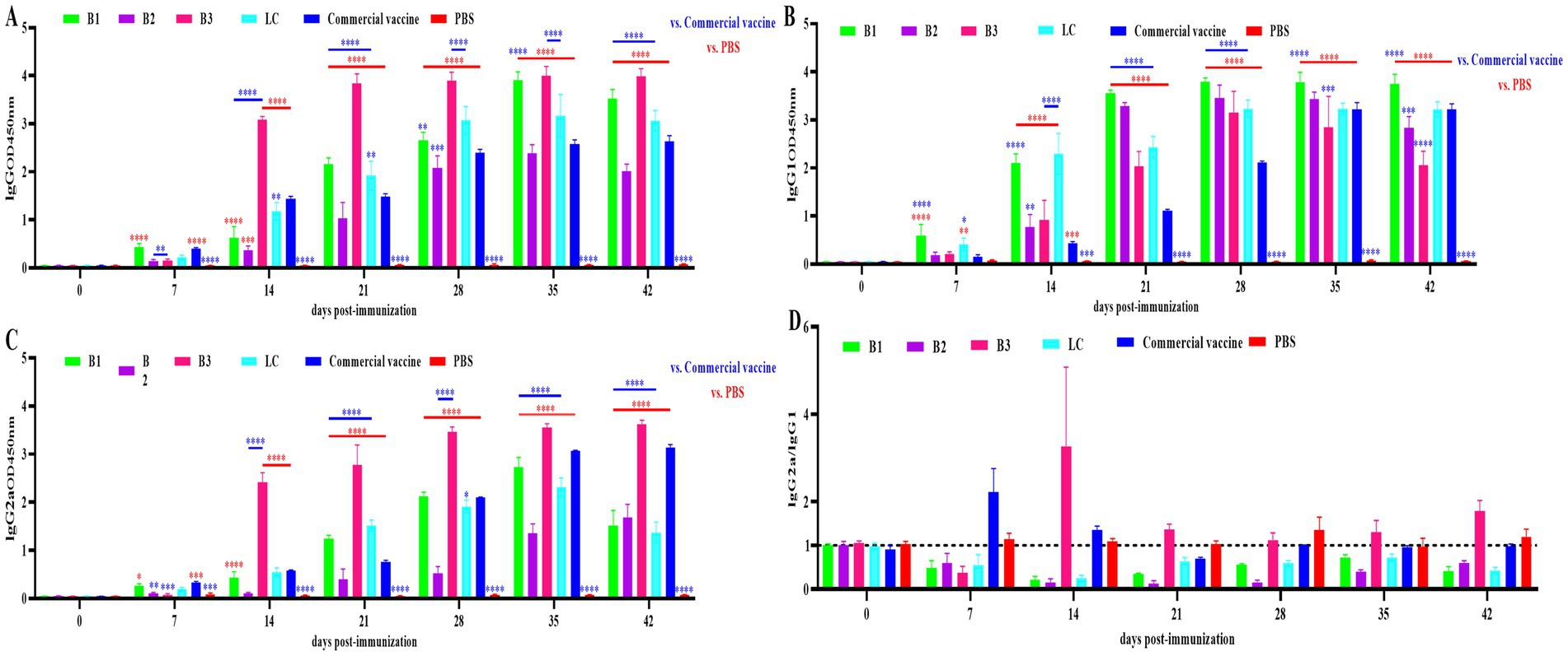 The image contains four bar graphs (A-D) displaying immunoglobulin levels (IgG and IgG subclasses) over time following immunization. The x-axes represent days post-immunization (0, 7, 14, 21, 28, 35, 42), while the y-axes display optical density or ratio measurements. Different colored bars indicate treatments: green (B1), magenta (B2), cyan (B3), teal (LC), blue (Commercial vaccine), and red (PBS). Asterisks denote statistical significance between groups, with comparisons shown using colored lines.