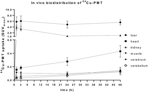 Graph showing the in vivo biodistribution of ⁶⁴Cu-PMT over 48 hours. The y-axis represents SUV mean uptake, while the x-axis indicates time in hours. Liver uptake is highest, decreasing slightly over time. Kidney uptake starts lower and decreases further. Uptake in heart, muscle, cerebrum, and cerebellum is significantly lower and remains relatively stable.