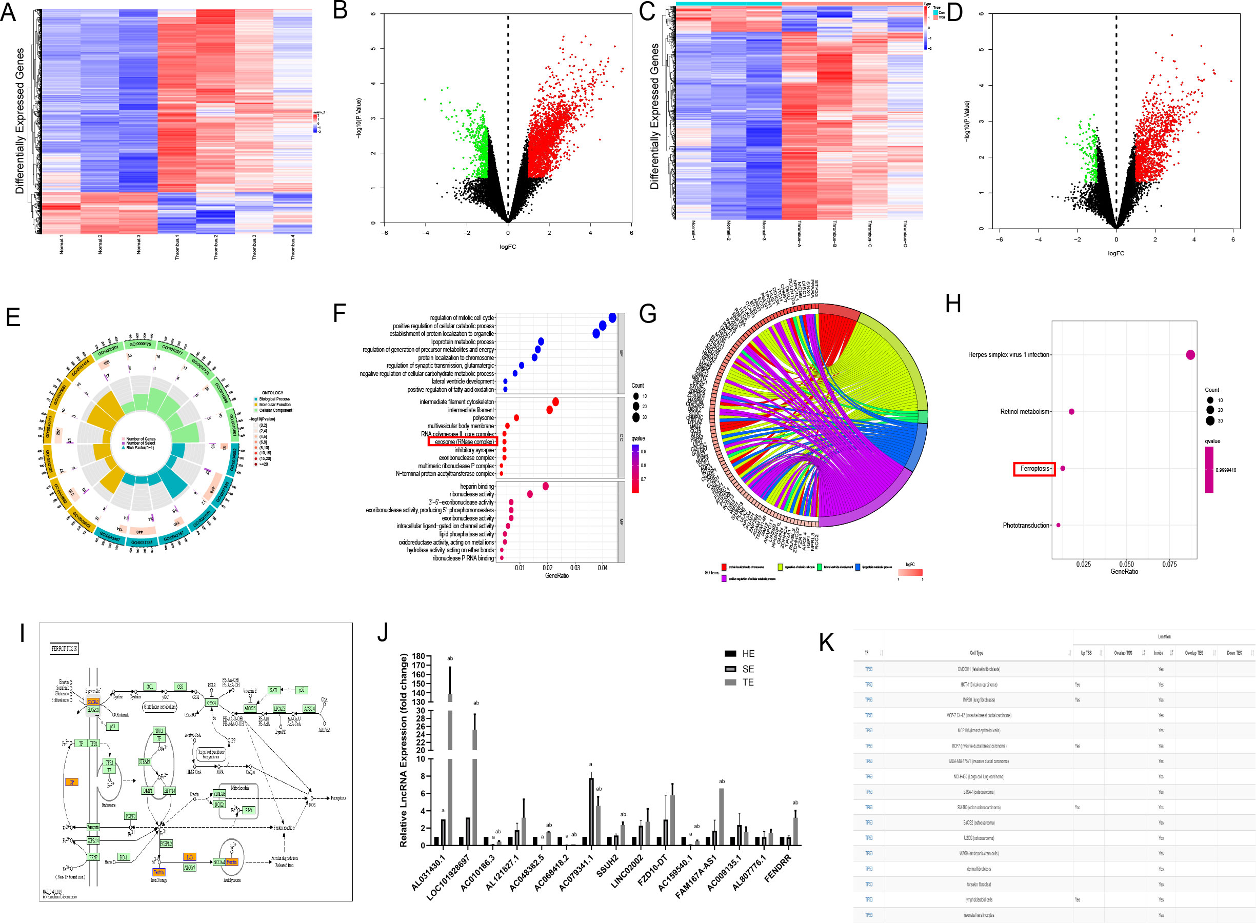 A composite of various data visualizations: A and C display heat maps with red and blue gradients, indicating gene expression levels. B and D are volcano plots highlighting significant genes with green and red dots. E illustrates a circular diagram of ontology classifications. F and H show bubble plots with gene sets related to biological processes. G is a circular chord diagram depicting connections between different gene sets and pathways. I contains a pathway map with various biochemical interactions. J presents a bar graph comparing relative lncRNA expression across samples. K is a tabular chart listing gene sets with details on regulation and expression.
