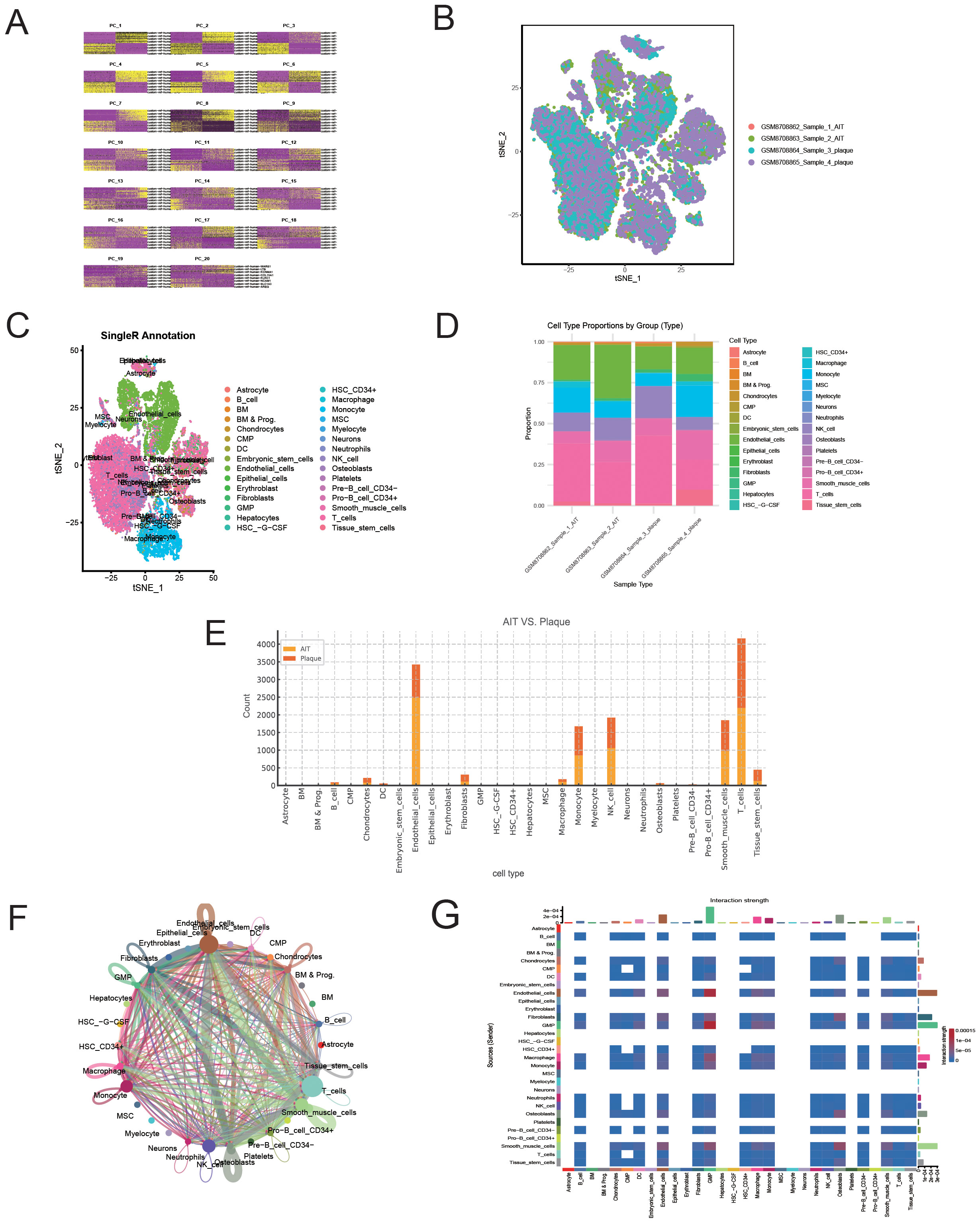 A: Heatmap showing genetic expression patterns across different PCs. Each row represents a PC, and columns show sample conditions. B: t-SNE plot displaying sample clustering from four different groups, indicated by color. C: Annotated t-SNE plot categorizing cell types with varied colors and labels. D: Bar chart indicating cell type proportions by sample group, with stacked colored bars representing different cell types. E: Bar chart comparing cell type counts between AIT and Plaque groups, highlighting differences in expression. F: Network graph illustrating interactions between different cell types with colored connecting lines. G: Heatmap displaying interaction strengths between pairs of cell types, represented by varying rectangle sizes.