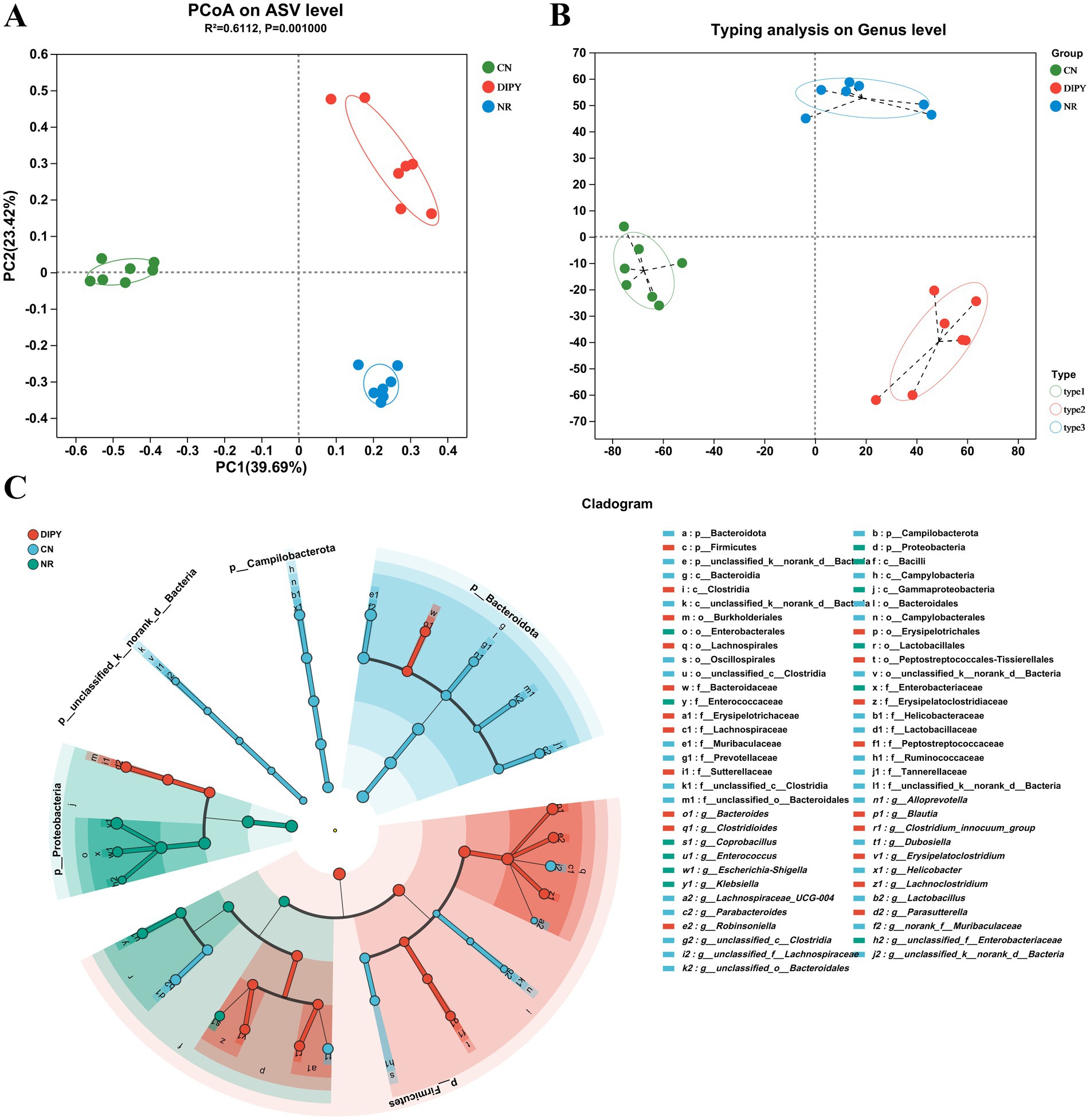 Three-part figure illustrating microbial analysis. Part A is a PCoA plot on ASV level showing three groups: CN (green), DIPY (red), and NR (blue). Part B shows typing analysis on genus level with similar grouping and type differentiation. Part C is a cladogram highlighting relationships among microbial genera, colored by group: DIPY (red), CN (green), and NR (blue). Each part is labeled, with legends explaining symbols and colors.