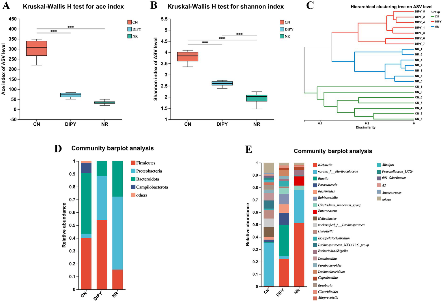 Charts comparing CN, DIPY, and NR groups. A) Box plot shows ace index differences using Kruskal-Wallis H test, significant differences marked. B) Box plot for Shannon index with significance. C) Hierarchical clustering tree shows ASV level dissimilarities. D) Bar plot depicts community abundance of five bacterial groups: Firmicutes, Proteobacteria, Bacteroidota, Campilobacterota, others. E) Detailed community bar plot shows relative abundance of various bacteria in each group.