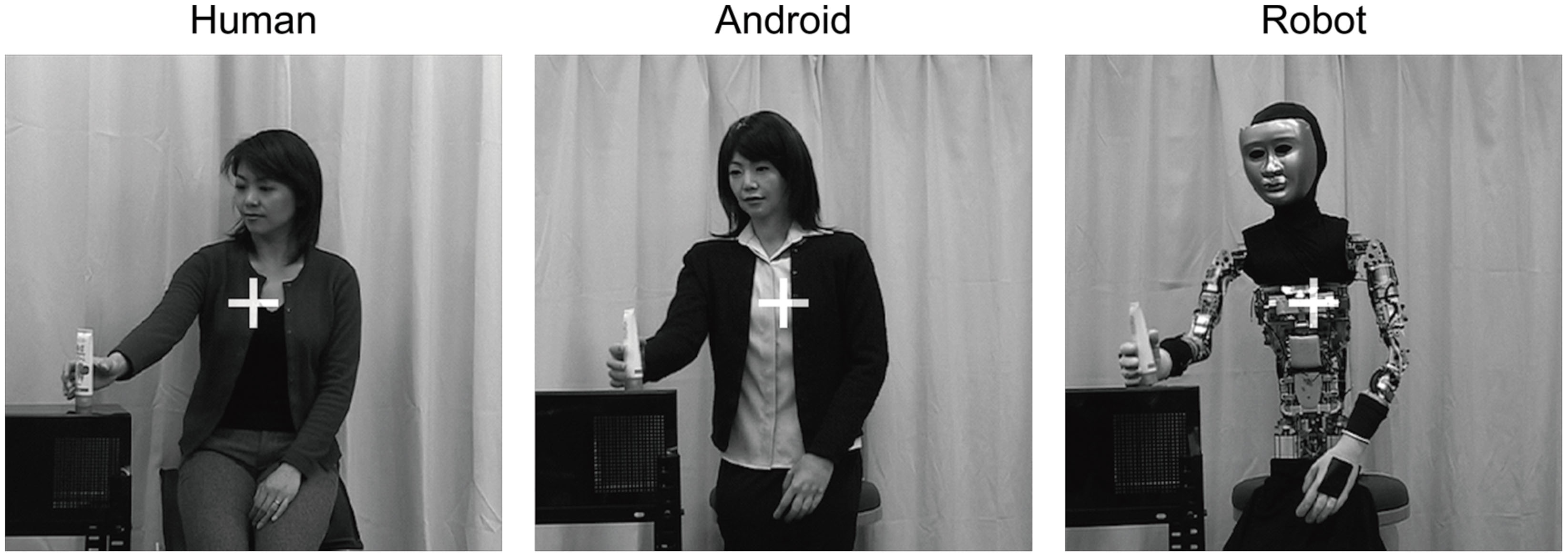 Frontiers | Infant discrimination of humanoid robots