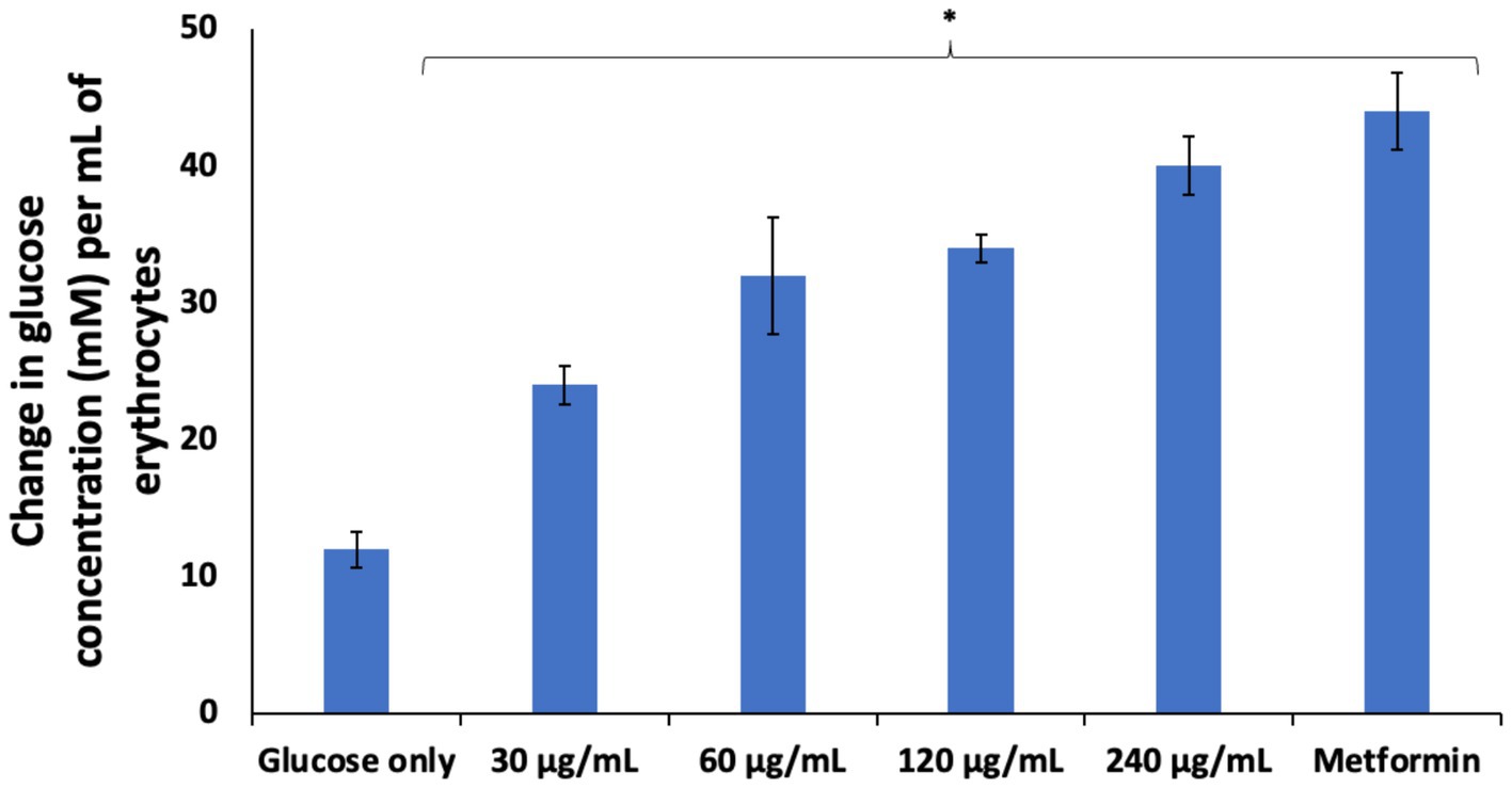 Bar graph showing change in glucose concentration in millimoles per milliliter of erythrocytes. Bars represent different treatments: Glucose only, and varying drug concentrations from thirty to two hundred forty micrograms per milliliter, plus Metformin. Glucose only shows the lowest change around ten millimoles, while two hundred forty micrograms per milliliter shows the highest change around forty-five millimoles. Error bars are included.