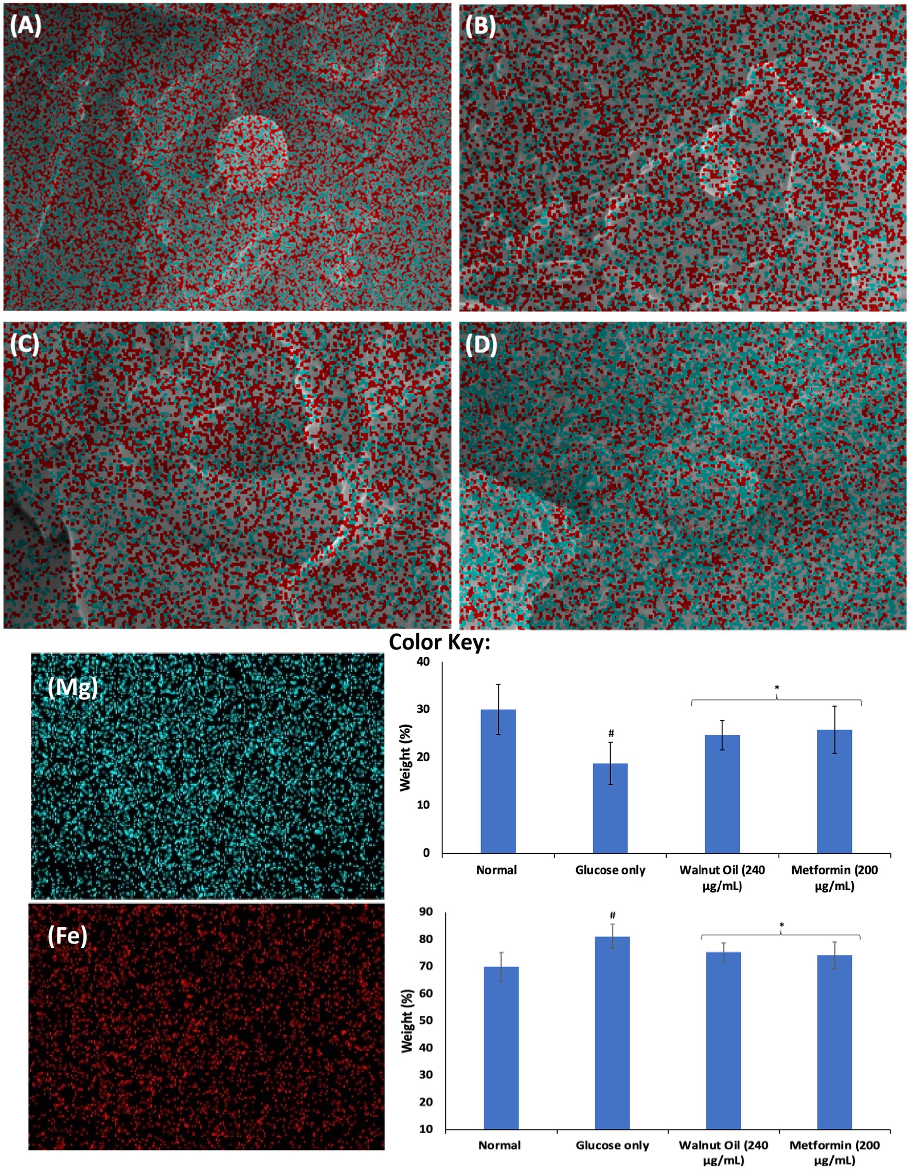 Four microscopic images labeled A, B, C, and D show samples with red spots on a cyan background, accompanied by elemental maps for magnesium (cyan) and iron (red). Adjacent bar graphs display the weight percentages of magnesium and iron under different treatments: normal, glucose only, walnut oil, and metformin. Data indicate distinct variations in element weights across the treatments, with annotations highlighting significant differences.