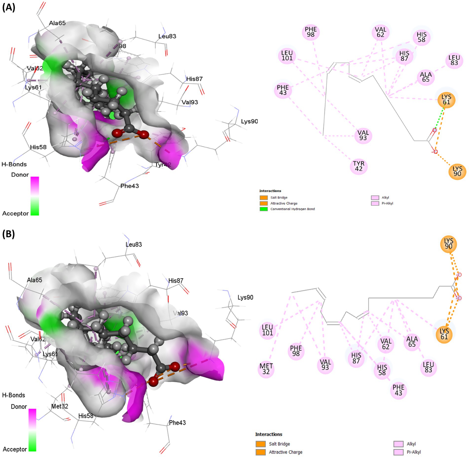 Molecular interaction diagrams labeled A and B display structural details of a protein-ligand complex. Both show 3D representations with hydrogen bonds, donors in pink, and acceptors in green. Salt bridges, attractive charges, and alkyl/pi-alkyl interactions are illustrated on the line diagrams. Key amino acids like His87, Lys90, and Leu83 are highlighted. Each interaction type is color-coded for clarity, with annotations of involved residues.