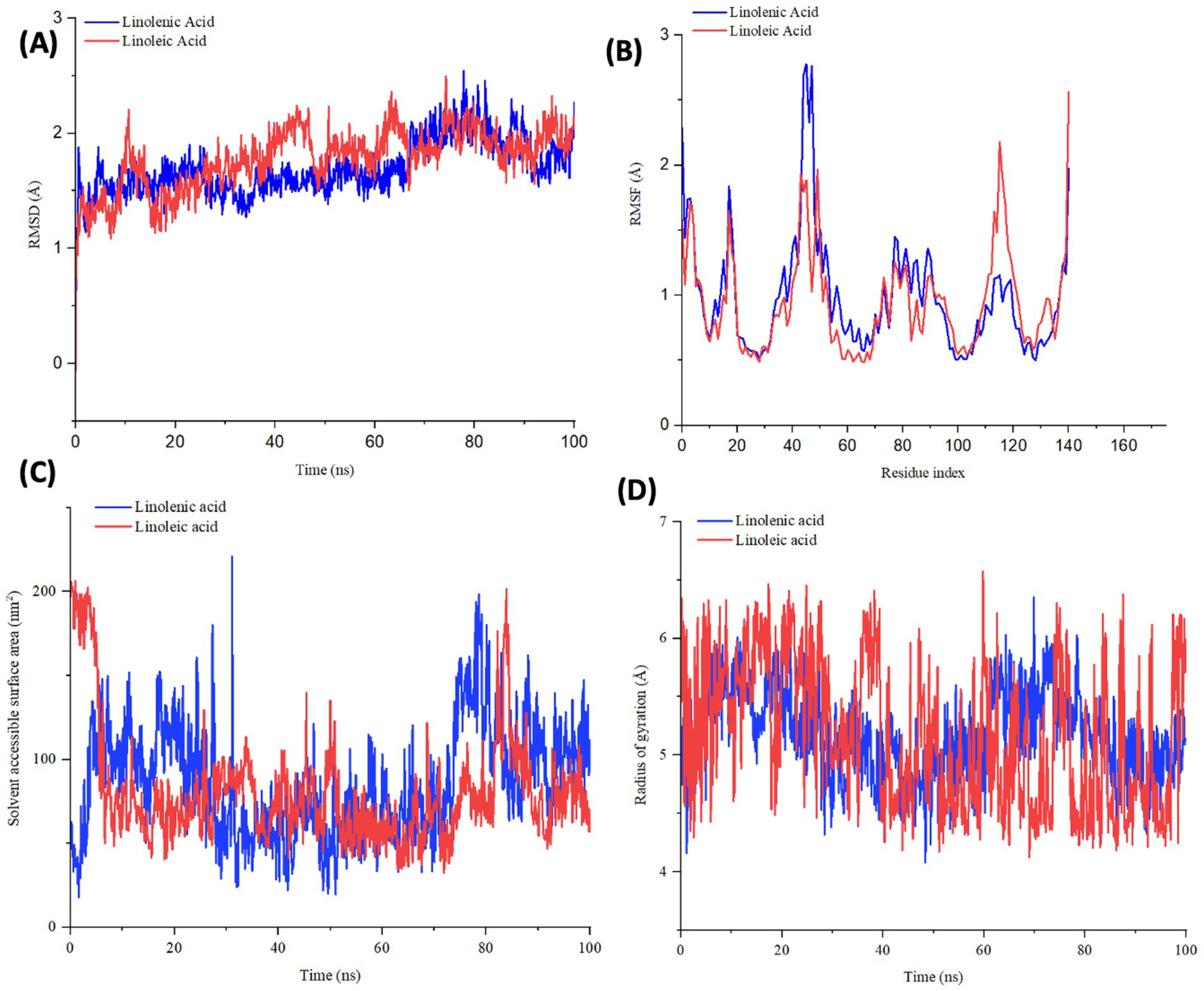 Four graphs compare linolenic and linoleic acids. (A) Plot of RMSD versus time (0 to 100 ns). (B) Plot of RMSF versus residue index (0 to 160). (C) Solvent accessible surface area versus time (0 to 100 ns). (D) Radius of gyration versus time (0 to 100 ns). Linolenic acid is represented by blue lines and linoleic acid by red lines.