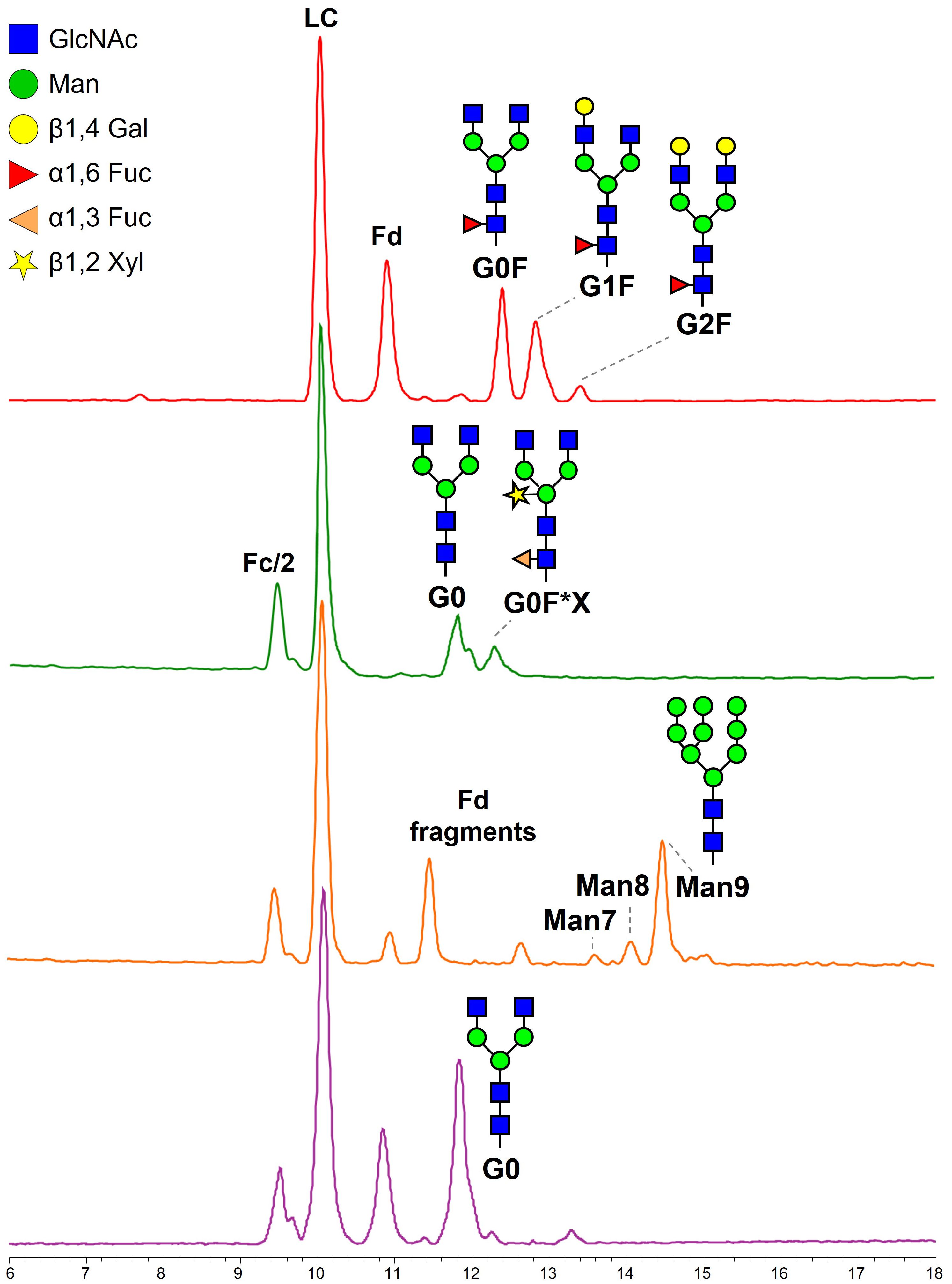 Base peak chromatograms from HILIC separation of IdeS-digested and reduced m-RTX and plantibodies. Four chromatograms are displayed from top to bottom, each trace represents a different sample, displaying its distinct glycan profile. Specific glycan structures are annotated at characteristic retention times, highlighting compositional differences among the samples.