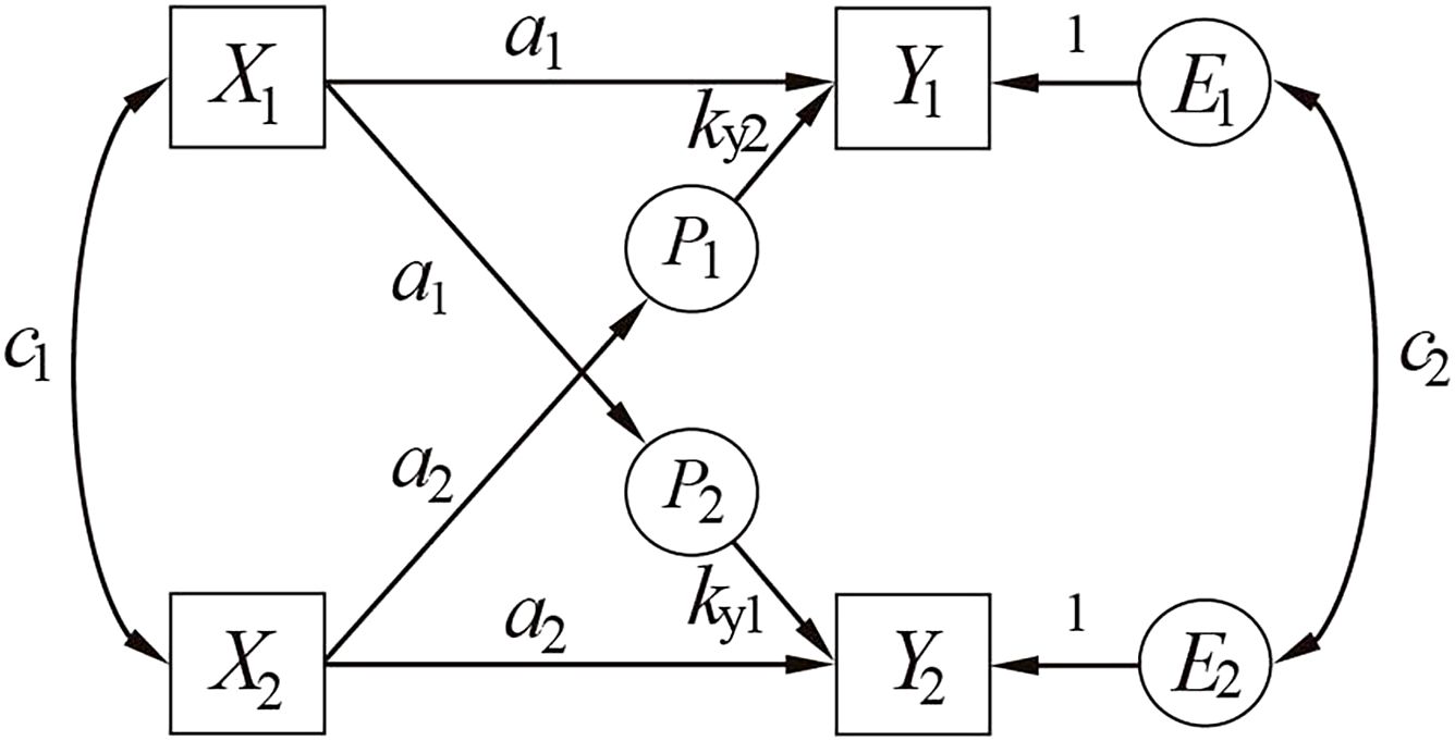 Diagram illustrating a system with variables and processes. Square nodes X1 and X2 connect to square nodes Y1 and Y2 respectively with arcs labeled a1, a2, and arrows labeled p12, p21 crossing between them. Circular nodes E1 and E2 connect back to Y1 and Y2 with arrows labeled '1'. Curved arrows labeled c1 and c2 connect E1 to X1 and E2 to X2, respectively.