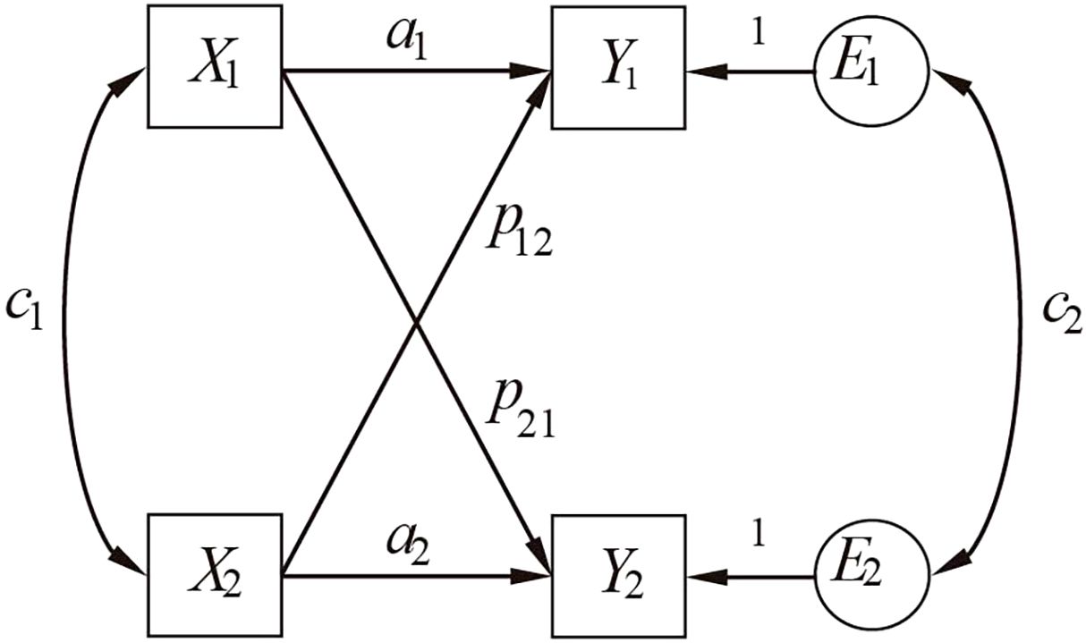 Diagram illustrating a system with variables and processes. Square nodes X1 and X2 connect to square nodes Y1 and Y2 respectively with arcs labeled a1, a2, and arrows labeled p12, p21 crossing between them. Circular nodes E1 and E2 connect back to Y1 and Y2 with arrows labeled '1'. Curved arrows labeled c1 and c2 connect E1 to X1 and E2 to X2, respectively.
