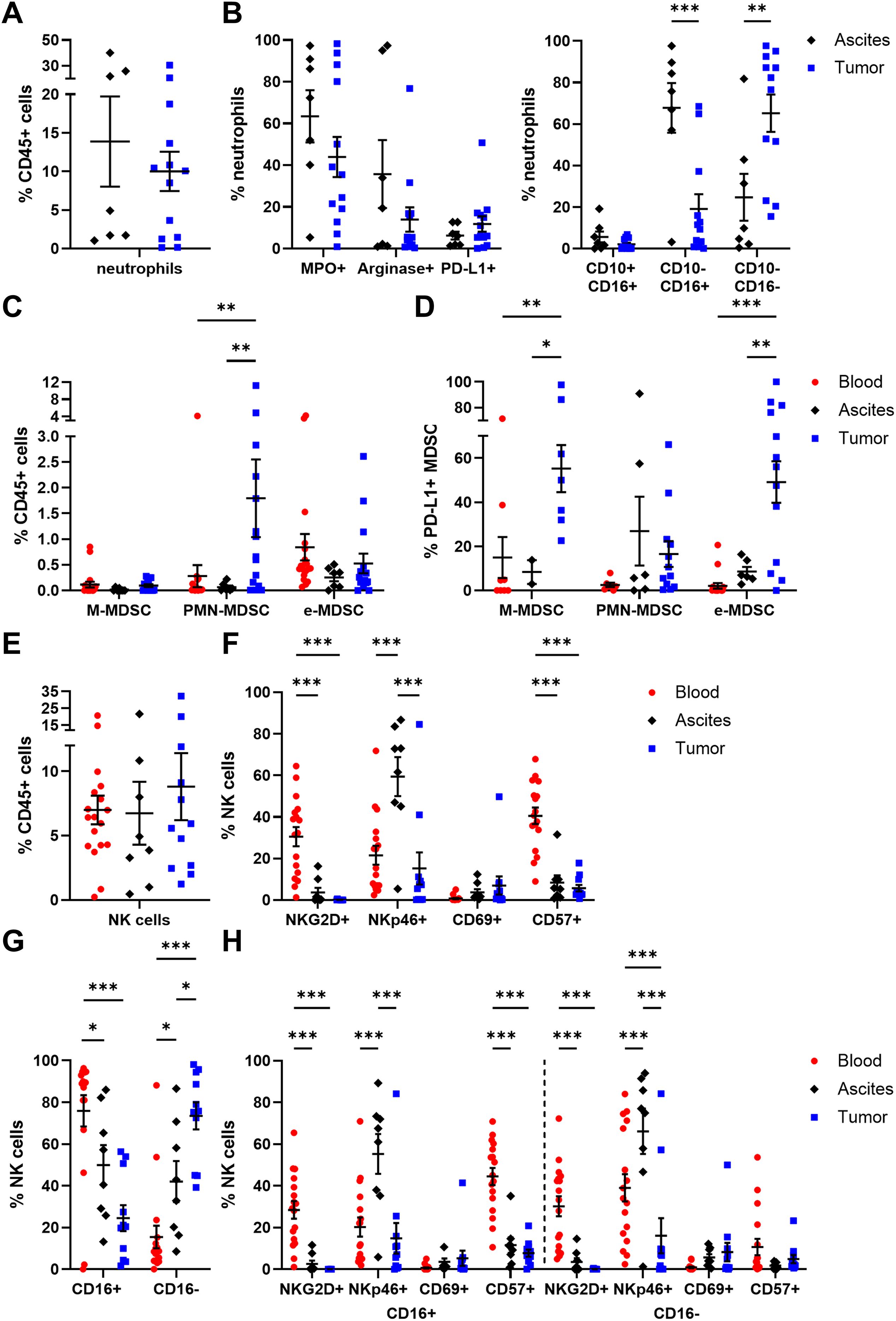 Graphs showing immune cell populations in different conditions. Panels A and B: Neutrophil percentages in ascites and tumor samples, analyzed by MPO, Arginase, PD-L1, CD10, and CD16 markers. Panels C and D: MDSC percentages and PD-L1 expression in blood, ascites, and tumor samples. Panels E to H: NK and subpopulation percentages via markers CD16, NKG2D, NKp46, CD69, and CD57. Comparisons show significant differences, indicated by asterisks, between cell types across conditions.