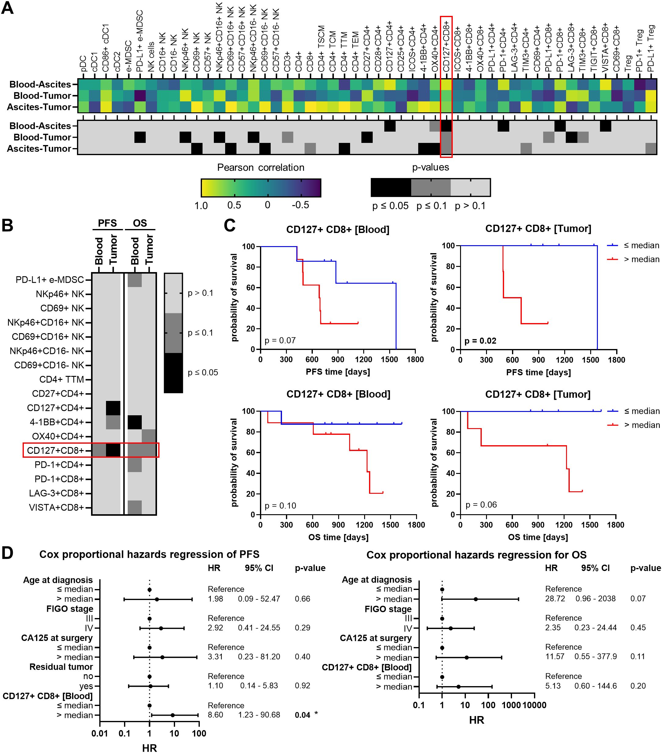 A scientific figure with four panels (A, B, C, D) analyzing CD127+ CD8+ cells in cancer prognosis. Panel A shows a heatmap of Pearson correlations between different cell types across blood and tumor samples, with a focus on CD127+ CD8+ cells. Panel B presents significance levels (p-values) of various markers in progression-free survival (PFS) and overall survival (OS) in blood and tumor samples. Panel C includes Kaplan-Meier survival curves for CD127+ CD8+ cells in the blood and tumor, highlighting survival probabilities over time. Panel D displays Cox proportional hazards models for PFS and OS, showing hazard ratios and confidence intervals for multiple factors, including CD127+ CD8+ cells.