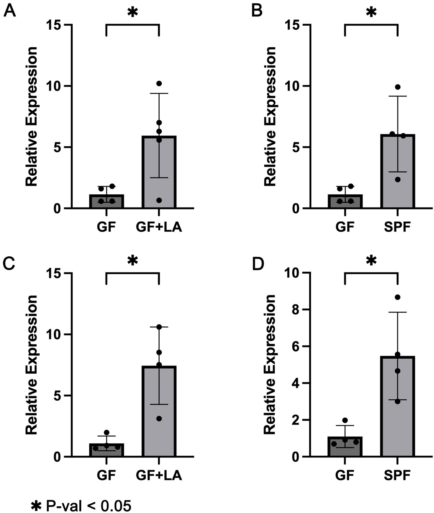 Bar charts labeled A to D showing relative expression levels. Each chart compares two groups: GF versus GF+LA in A and C, and GF versus SPF in B and D. Significant differences are marked with an asterisk, indicating P-value less than 0.05. Each bar includes data points with error bars.
