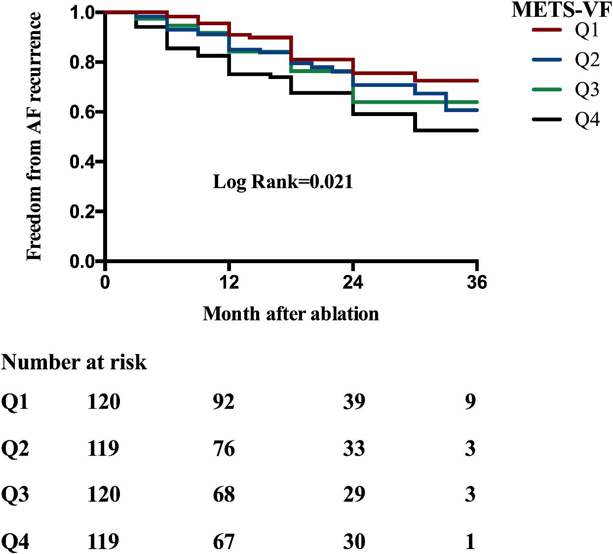 Kaplan-Meier curve shows the probability of freedom from atrial fibrillation recurrence over 36 months post-ablation for four groups (Q1-Q4) in the METS-VF study. A log-rank test value is 0.021. Each group starts with about 120 participants, with numbers decreasing over time. Q1 has the highest freedom from recurrence, while Q4 has the lowest.