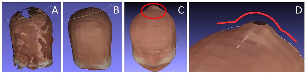 Four 3D renderings labeled A to D. A shows a rough surface with varying colors. B depicts a smoother, uniform surface. C highlights a top section with a red circle. D focuses on a peak with a highlighted red curve over it.