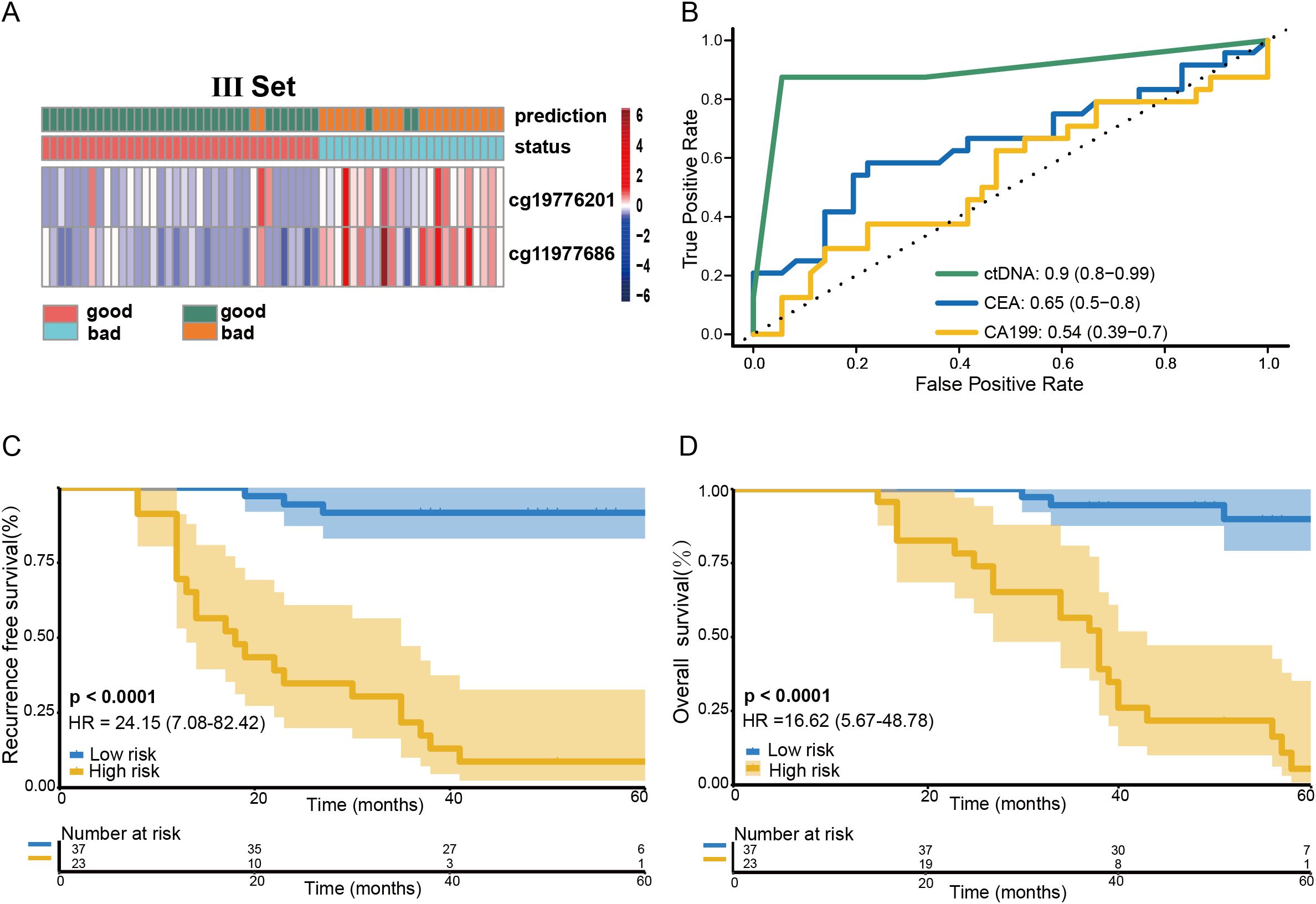 Panel A shows a heatmap illustrating predictions and statuses with color-coded rows. Panel B displays a ROC curve comparing true and false positive rates for ctDNA, CEA, and CA199, with respective AUC values. Panel C provides a Kaplan-Meier curve for recurrence-free survival, differentiating low and high risk with significant p-value and hazard ratio. Panel D presents a Kaplan-Meier curve for overall survival, also showing significant p-value and hazard ratio, with risks indicated by color-coded lines.