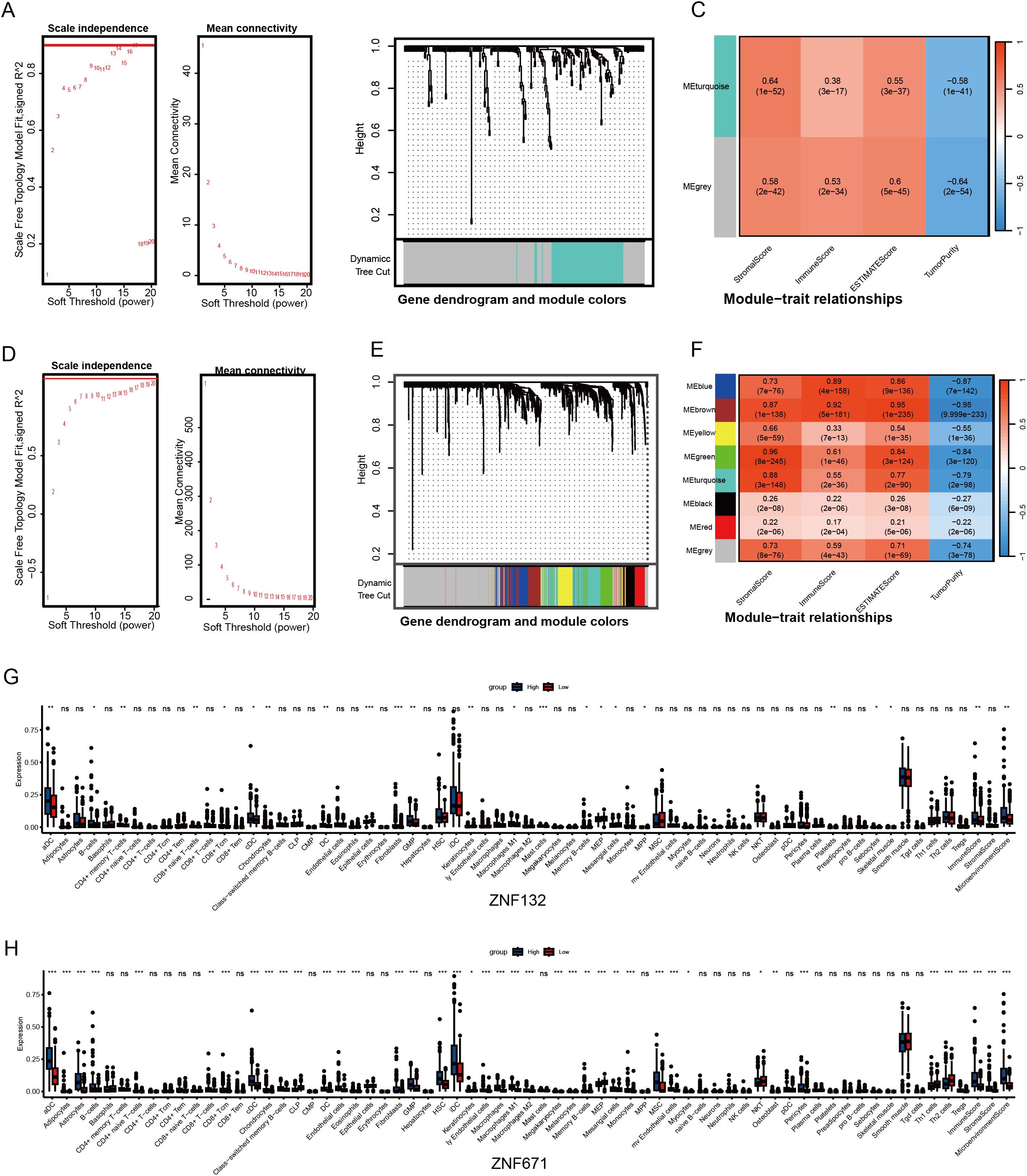 Composite image showing network analysis and expression graphs. Panel A and D: Plot of scale independence and mean connectivity against soft threshold power for network analysis. Panel B and E: Gene dendrogram with module color assignments using hierarchical clustering. Panel C and F: Heatmap of module-trait relationships with correlation values and significance levels. Panel G and H: Box plots of gene expression for ZNF132 and ZNF671 across various conditions, highlighting differences between groups with statistical significance indicators.