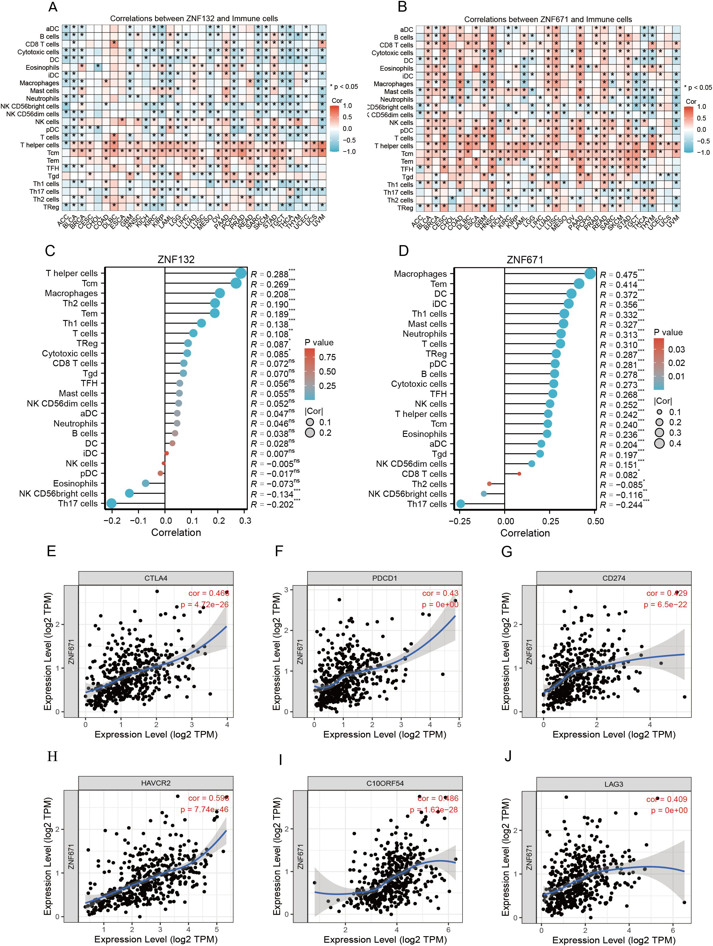 Panel A and B display heatmaps showing correlations between ZNF132, ZNF671, and various immune cells, with color gradients indicating the correlation values. Panel C and D present bar graphs with correlation coefficients for ZNF132 and ZNF671 against immune cell types. Panels E to J feature scatter plots of expression levels (log2 TPM) with correlation coefficients and p-values, examining relationships between ZNF671 and specific genes: CTLA4, PDCD1, CD274, HAVCR2, C10ORF54, and LAG3. Trend lines in each panel illustrate correlation directions.