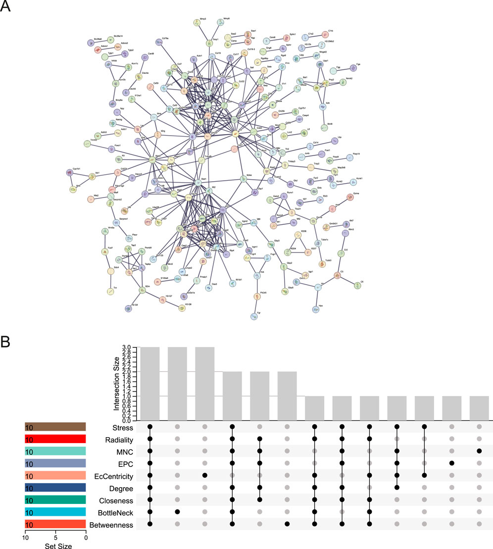 A labeled network diagram (A) and an upset plot (B) are shown. The network diagram displays interconnected nodes representing genes or proteins, color-coded and connected by lines. The upset plot shows intersections of sets such as Stress, Radiality, and others, with a bar graph indicating intersection sizes. Horizontal bars on the left denote set sizes. Black dots and lines illustrate specific intersections across categories.