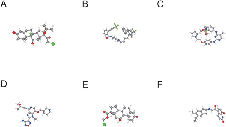 Six molecular structures labeled A to F are arranged in a grid. They represent different chemical compounds with various atoms, including oxygen, nitrogen, chlorine, and sulfur, depicted by colored spheres. Each molecular model illustrates the connectivity and spatial arrangement of atoms.