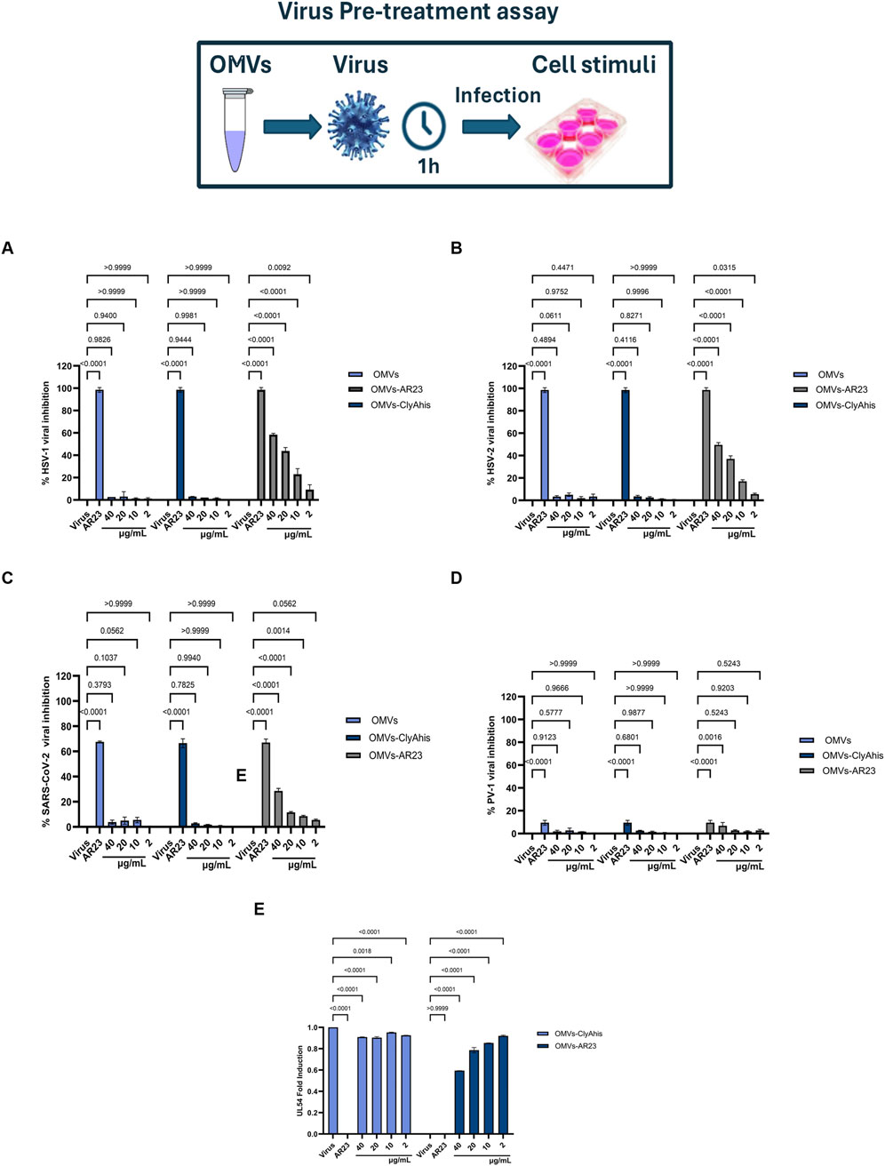 Virus pre-treatment assay diagram illustrating the process of virus infection with outer membrane vesicles (OMVs) and cell stimuli. Five bar graphs labeled A to E show percentage inhibition of different viruses (HSV-2, SARS-CoV-2, PV-1) after treatments with OMVs, OMVs-AR23, and OMVs-ClyAhis at various concentrations. Statistical significance between groups is indicated above the bars.