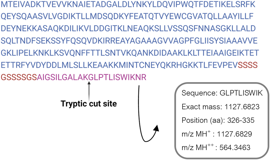 Protein sequence displayed with a highlighted segment in purple, indicating a tryptic cut site. The segment "GLPTLISWIK" is selected for further analysis. Details include exact mass: 1127.6823, position: amino acids 326-335, and mass-to-charge ratios \( \text{m/z MH}^+: 1127.6829 \) and \( \text{m/z MH}^{2+}: 564.3463 \).