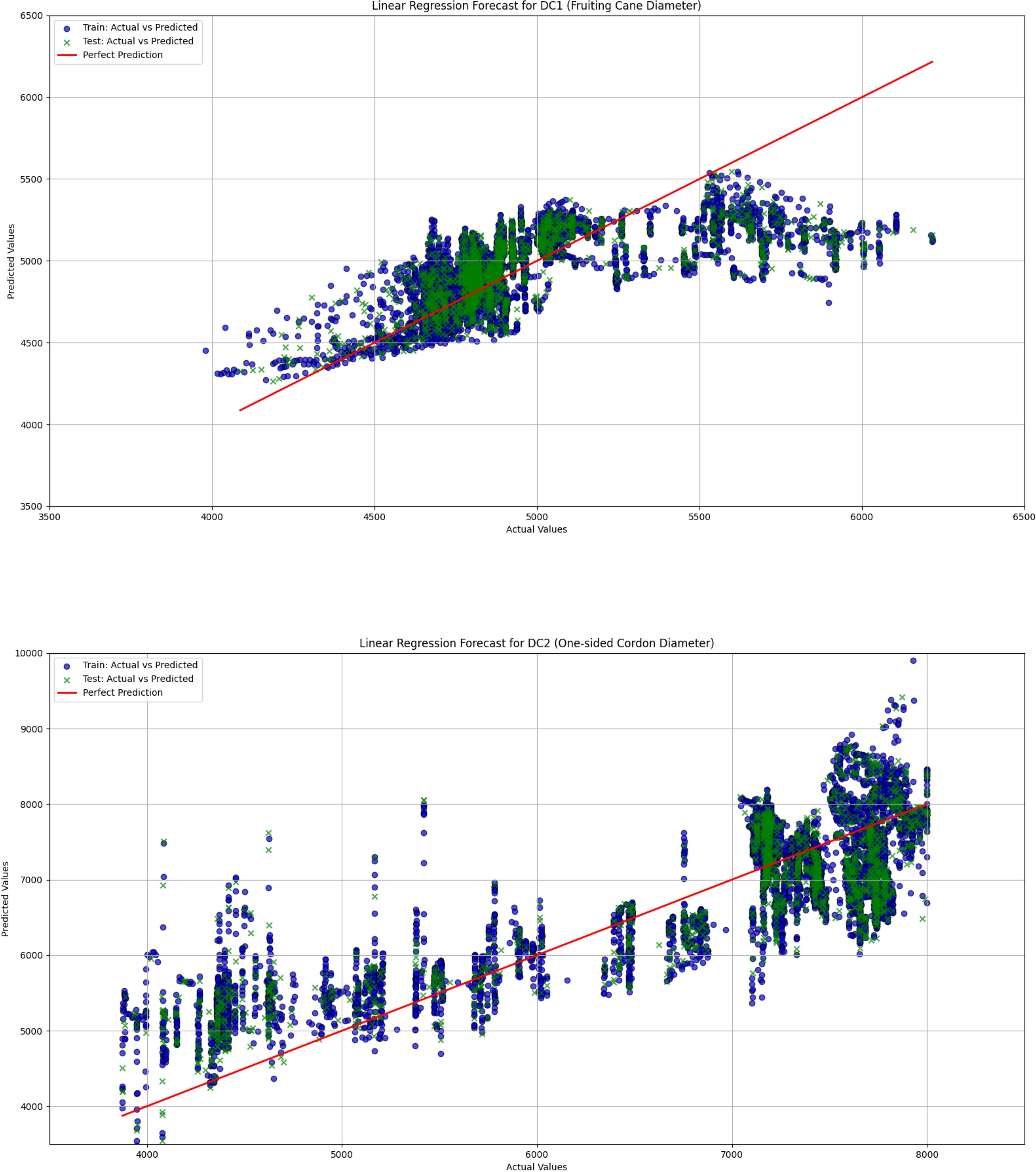 Two scatter plots with linear regression forecasts. The first graph shows predictions for DC1 (Fruiting Cane Diameter) with actual values on the x-axis and predicted on the y-axis, featuring a red line for perfect predictions. Blue and green dots indicate training and test data. The second graph is similar, depicting DC2 (One-sided Cordon Diameter) with the same format and elements. Both display a trend along the red line, suggesting an alignment of predicted with actual values.
