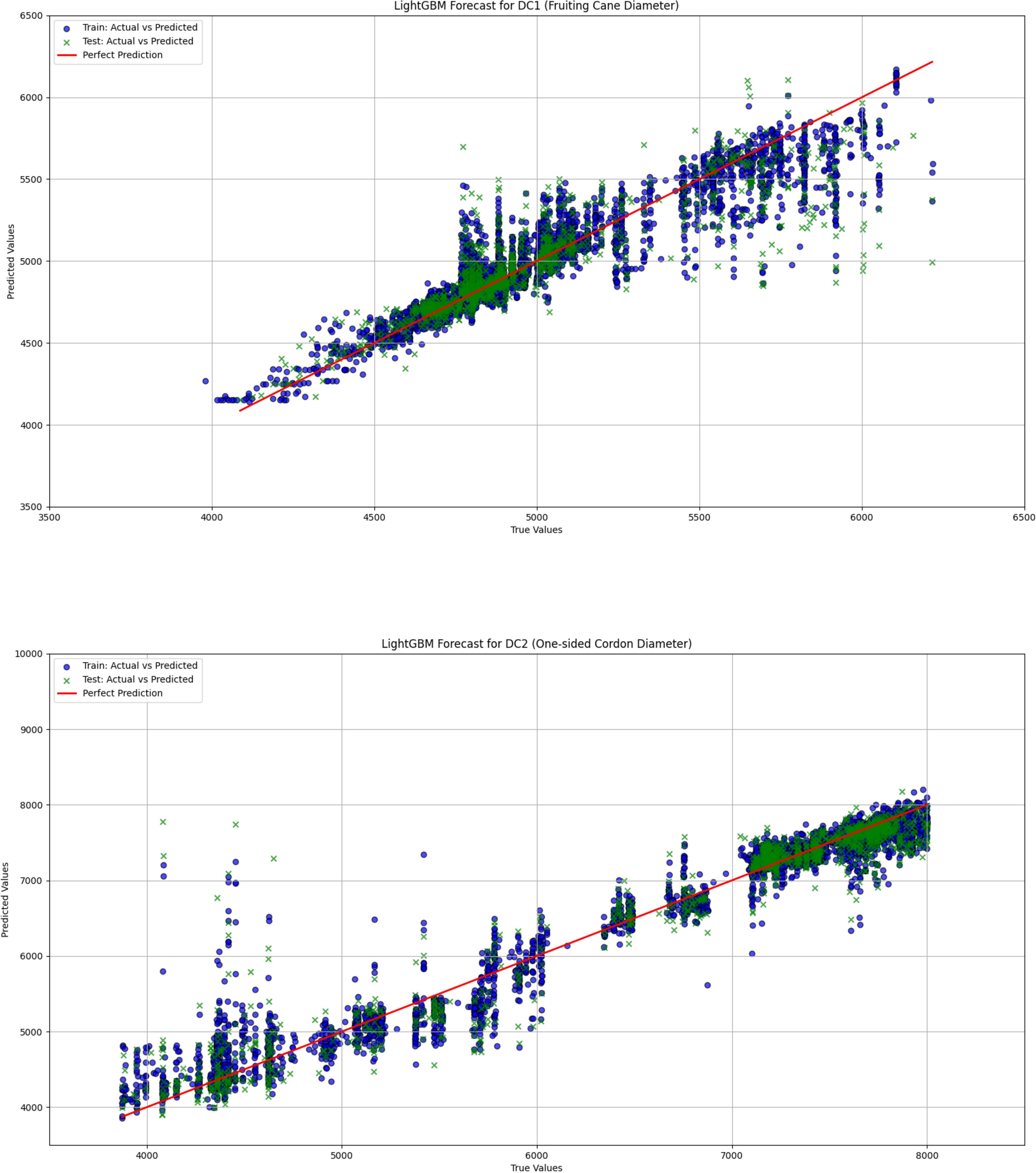 Two scatter plots show LightGBM model forecasts. The top plot is for DC1, Fruiting Cane Diameter, displaying predicted vs. true values, with blue circles for training data, green crosses for test data, and a red line for perfect prediction. The bottom plot is for DC2, One-sided Cordon Diameter, with similar elements. Both plots depict a positive correlation along the red line, representing skill in prediction.