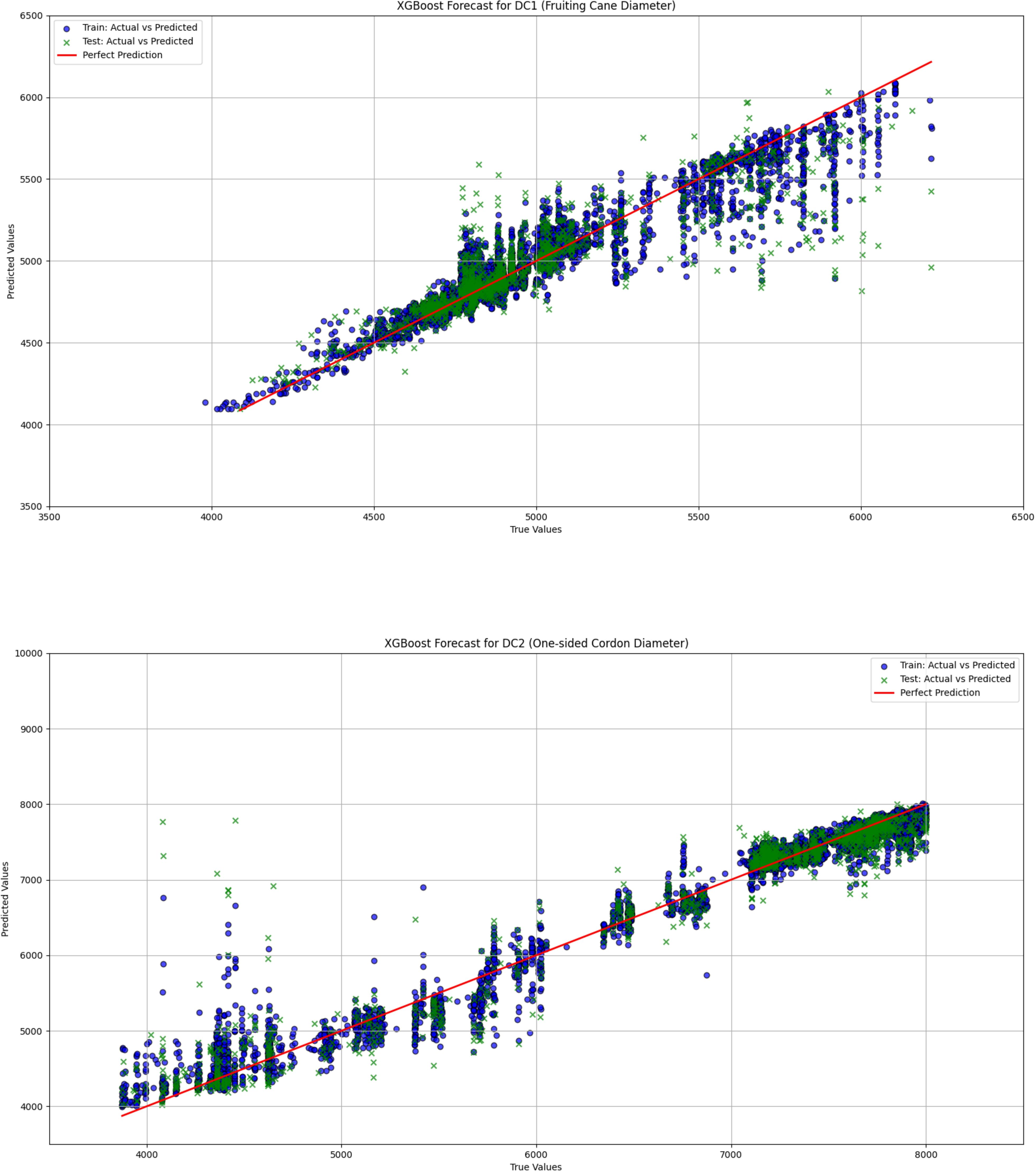 Scatter plots show XGBoost forecasts for two datasets: DC1 (Fruiting Cane Diameter) and DC2 (One-sided Cordon Diameter). Both plots compare predicted values to true values, marked by colored points. The red line indicates perfect prediction.