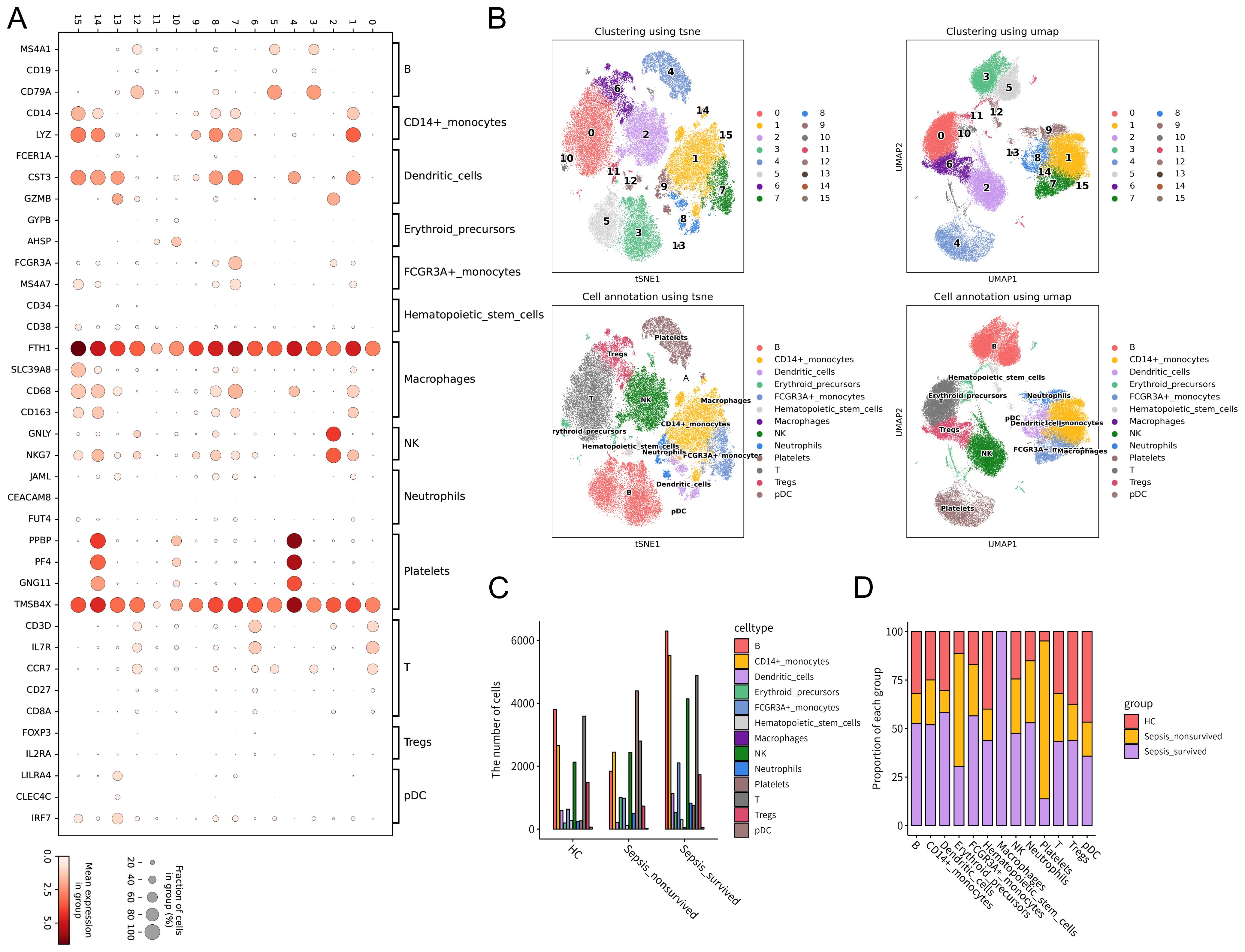 Panel A shows a dot plot of gene expression across different cell types. Panel B contains four scatter plots illustrating cell clustering and annotation using t-SNE and UMAP methods, with distinct color-coding for cell types. Panel C presents a bar graph of cell type counts across three conditions. Panel D is a stacked bar chart depicting cell type proportions in different groups.