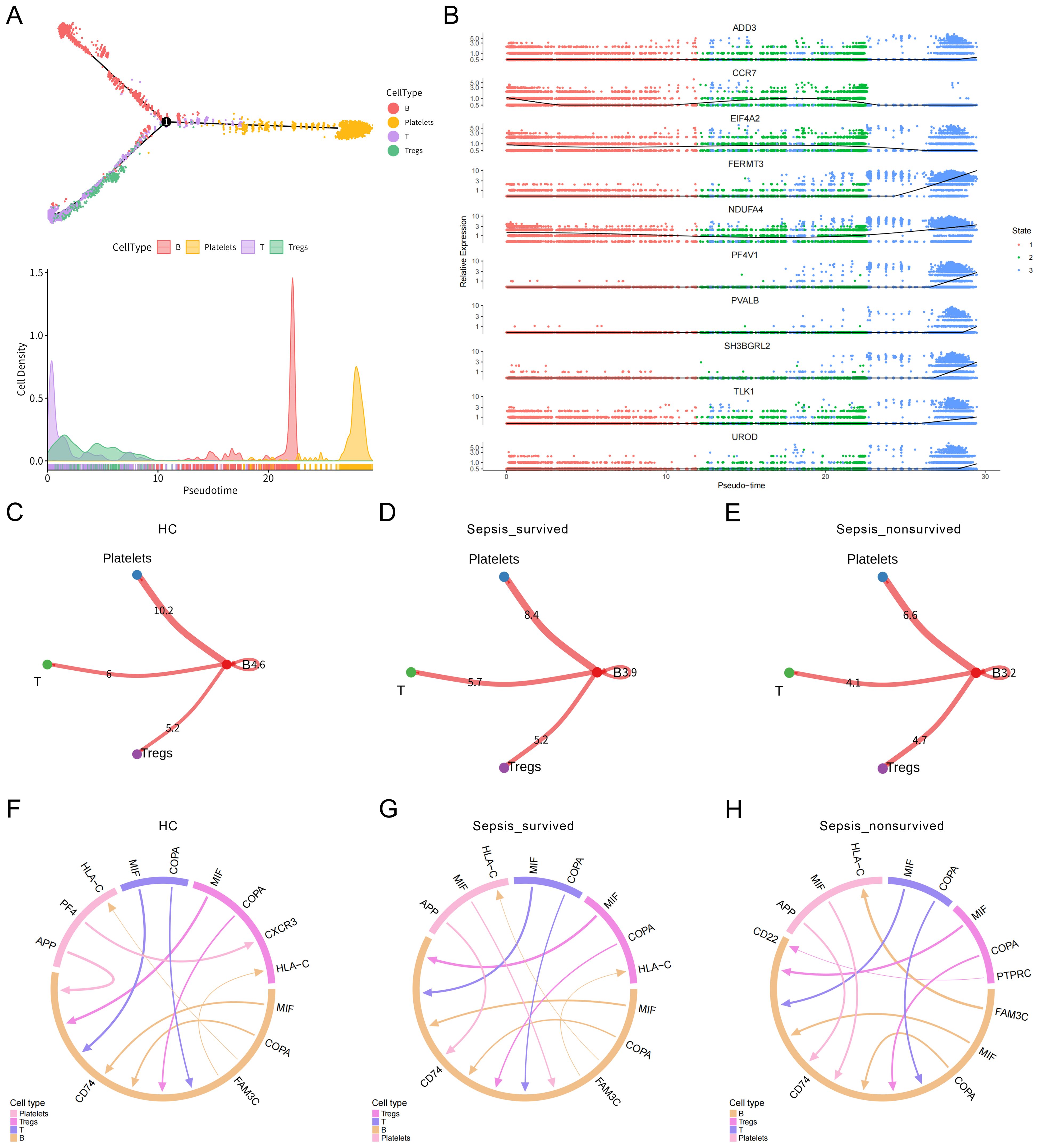 Collection of diagrams and graphs showing cell type analysis and interactions related to platelets, T cells, and Tregs. Graphs in panels A and B display pseudotime trajectories and gene expression states. Panels C, D, and E illustrate cell interactions in different patient conditions: healthy control (HC), sepsis survived, and sepsis non-survived. Panels F, G, and H show circular plots representing gene interactions within these conditions. Color codes indicate cell types: yellow for platelets, pink for Tregs, and green for T cells.