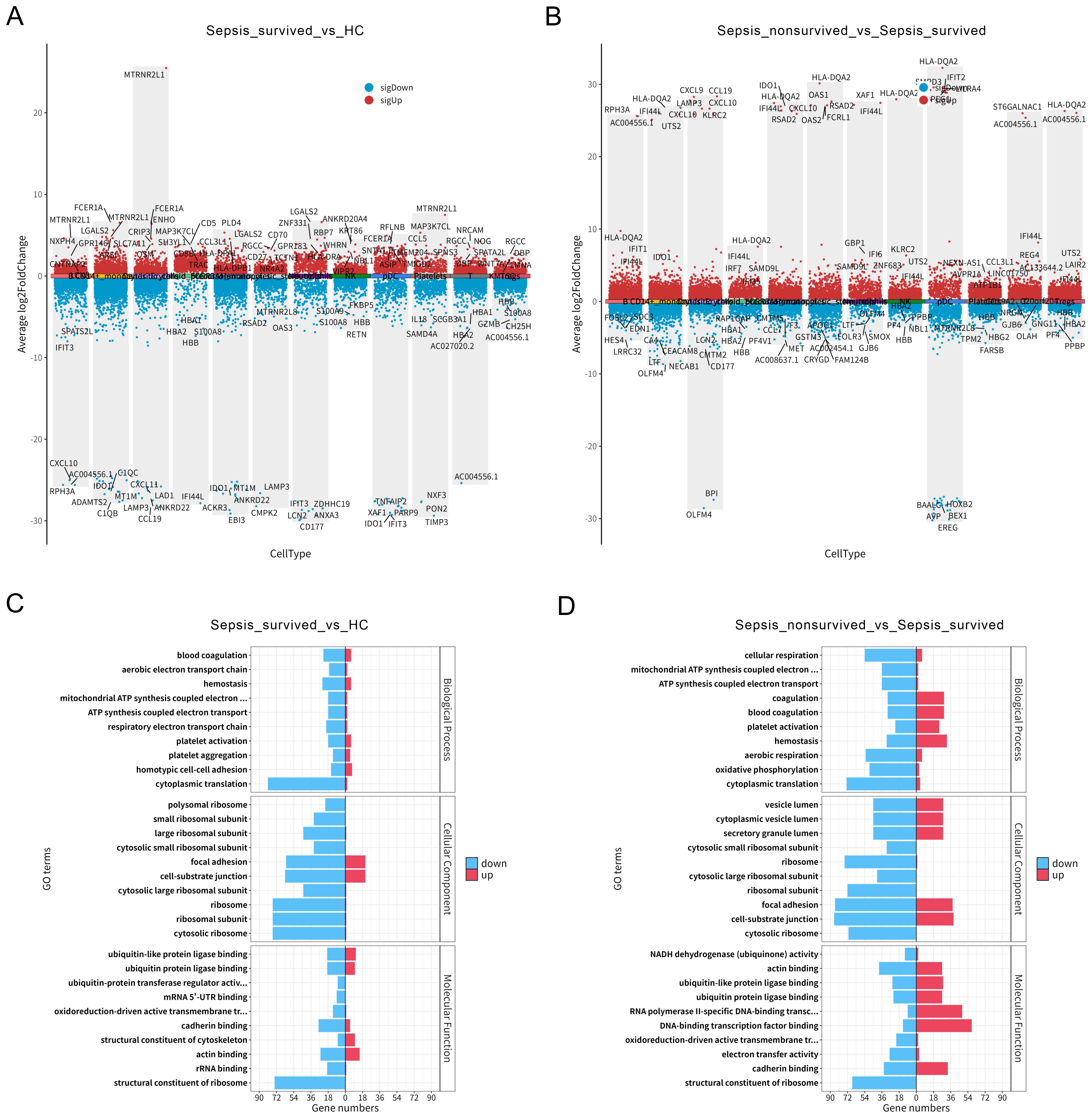 Four-panel figure showing differential gene expression and gene ontology analysis. Panels A and B are volcano plots comparing gene expression changes: A is “Sepsis_survived_vs_HC”, B is “Sepsis_nonsurvived_vs_Sepsis_survived”. Panel C and D are bar charts displaying gene ontology terms: C is “Sepsis_survived_vs_HC”, D is “Sepsis_nonsurvived_vs_Sepsis_survived”. Red indicates upregulated genes and blue indicates downregulated genes.