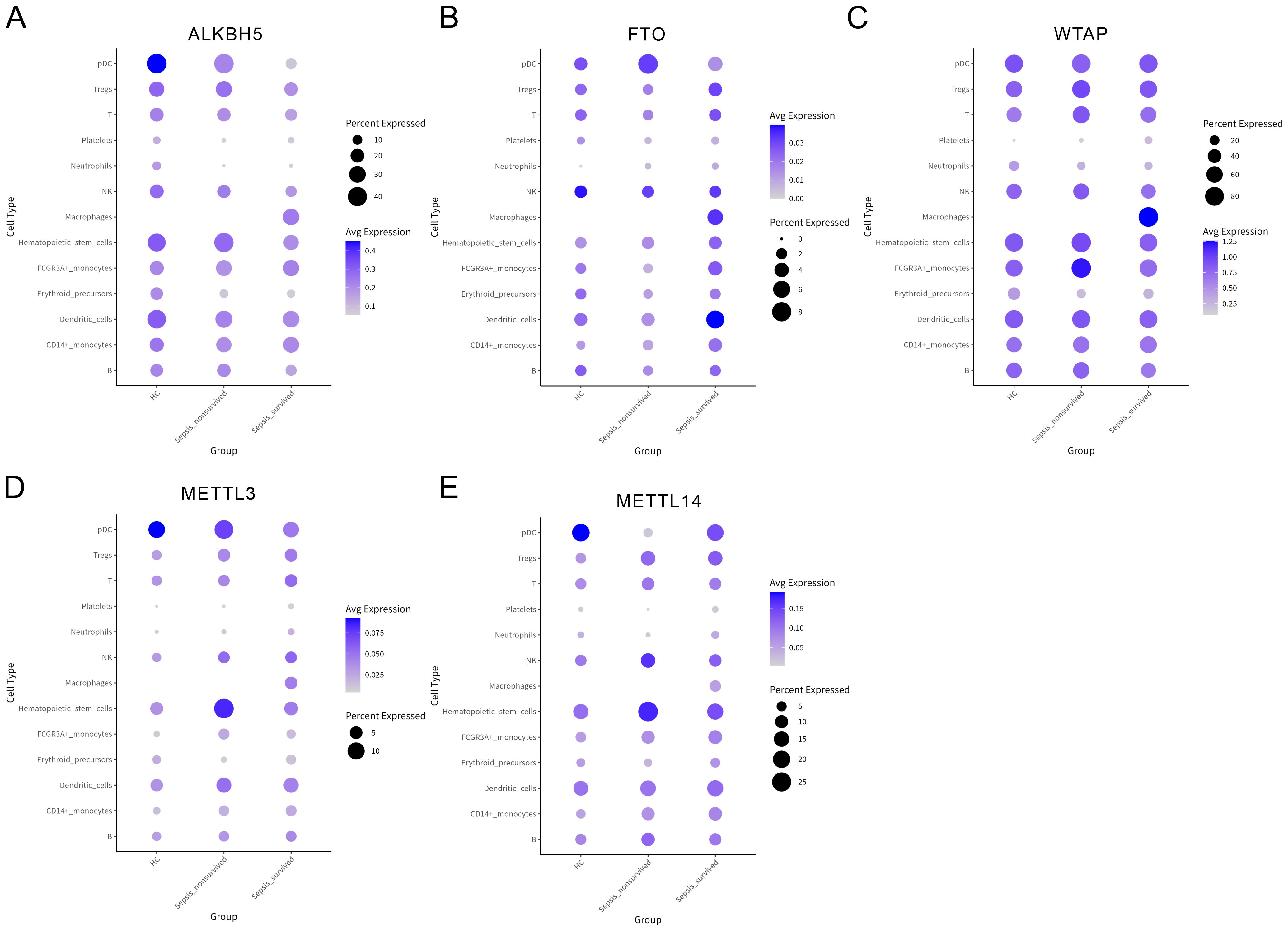 Dot plots depicting the expression of genes ALKBH5, FTO, WTAP, METTL3, and METTL14 across various cell types. The expression levels and percent expressed are highlighted with color and size gradients. Different groups labeled as HC, Spinal_unerased, and Spinal_erased are compared. Each plot shows cell types on the y-axis and groups on the x-axis, with specific legends for average expression and percent expression.