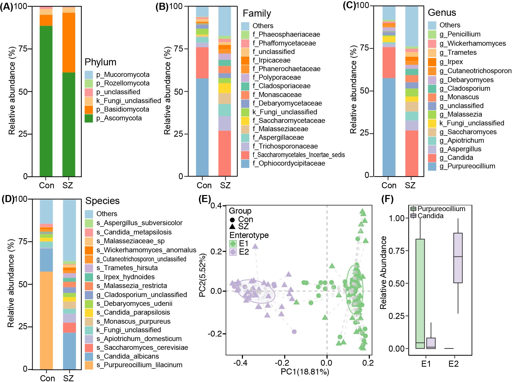 Bar and scatter plots depict fungal community compositions and relative abundances across different classifications (Phylum, Family, Genus, and Species) for Control (Con) and SZ groups. (A-D) show relative abundance as bars. (E) is a scatter plot for principal coordinates analysis of groups Con and SZ by enterotype (E1, E2). (F) box plot compares relative abundances of Purpureocillium and Candida between E1 and E2.