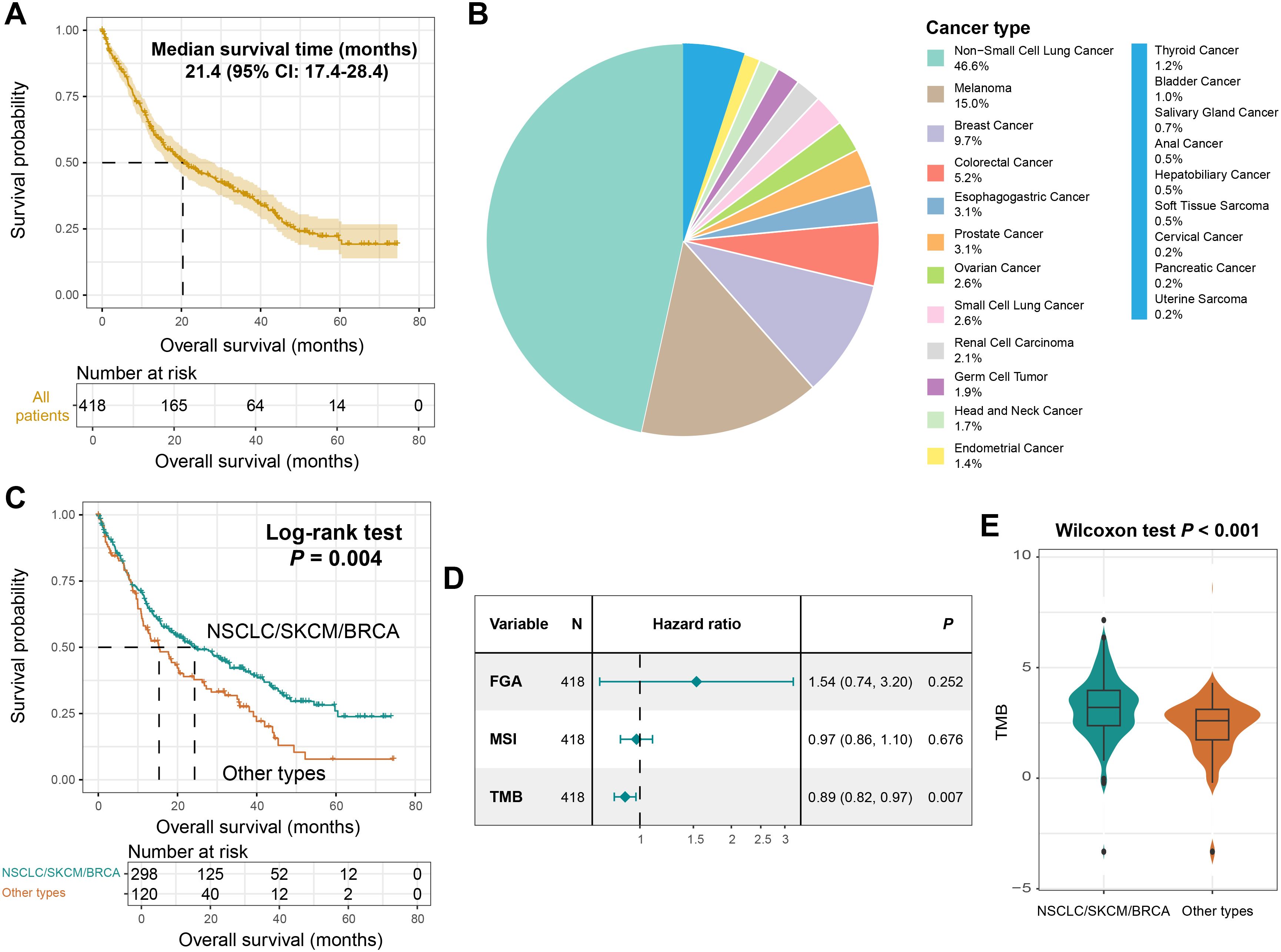 Graph A shows survival probability over months, with a median of 21.4 months for all patients. Chart B is a pie chart detailing cancer type distribution, dominated by non-small cell lung cancer at 46.6%. Graph C compares survival probability between two cancer groups, with significant differences noted by a log-rank test P of 0.004. Chart D presents a hazard ratio analysis for FGA, MSI, and TMB variables, indicating a significant TMB association (P = 0.007). Graph E displays a violin plot comparing TMB distribution between cancer groups, with a Wilcoxon test P of less than 0.001.
